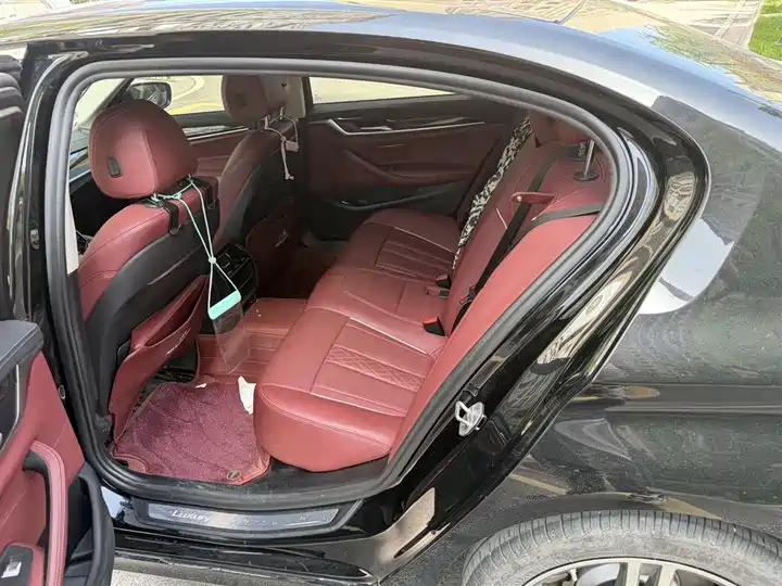 BMW 5 Series 2021 530Li Leading Luxury Suit 6