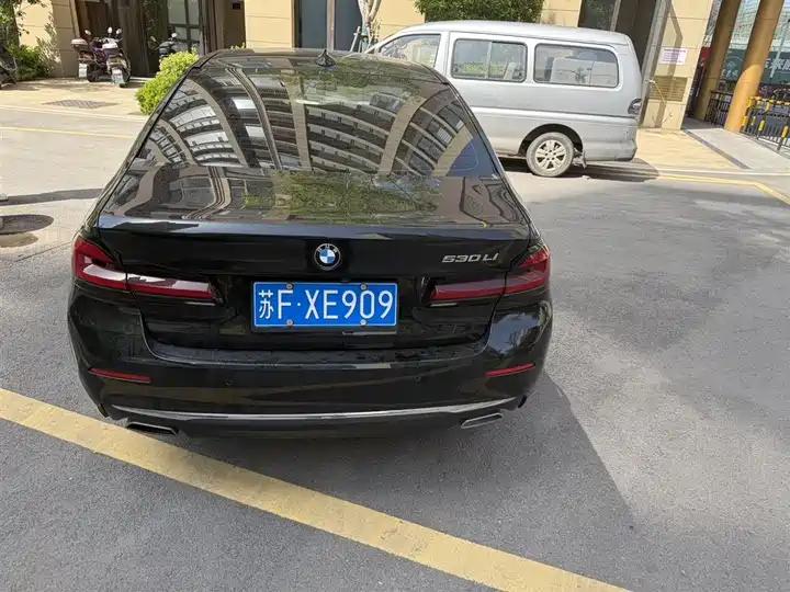 BMW 5 Series 2021 530Li Leading Luxury Suit 8