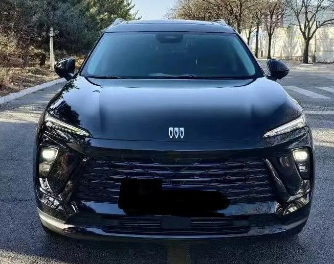 Oncovey S 2025 25T Platinum Edition 2