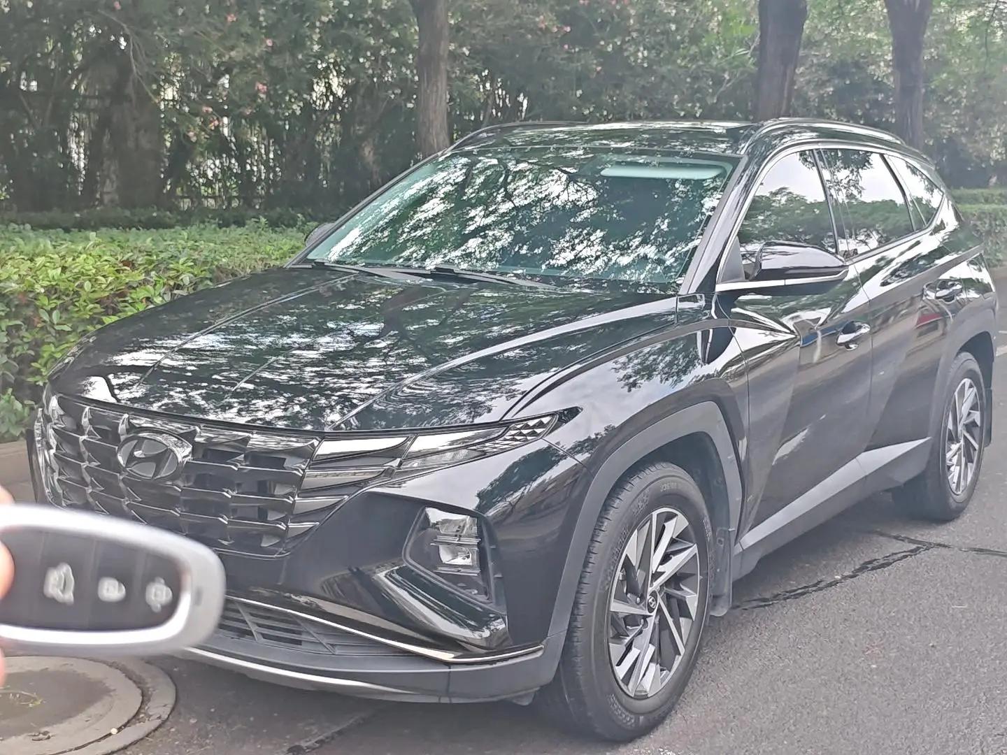 Tousheng 2023 Tousheng L 1.5T Automatic Two-Drive DLX Deluxe Edition