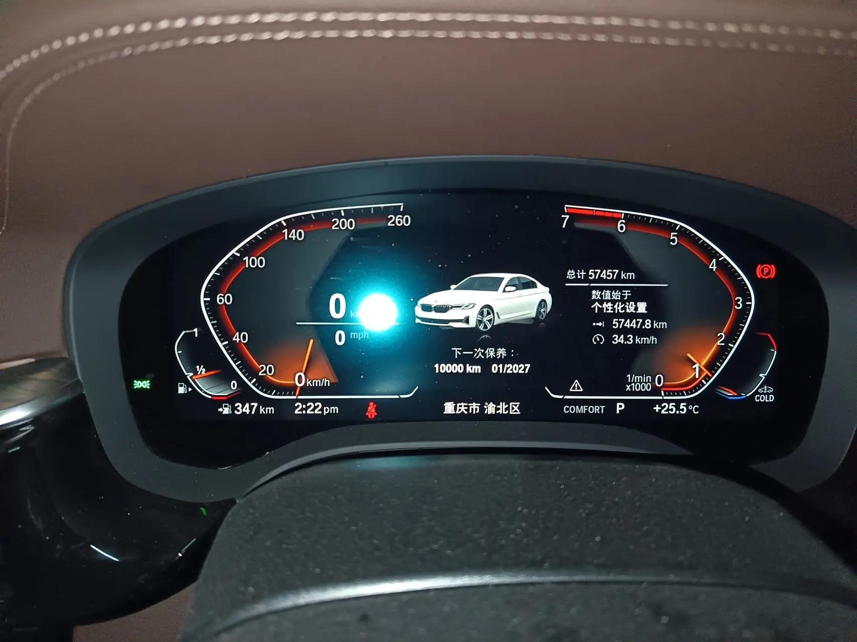BMW 5 Series 2021 530Li Premium Luxury Suit 5
