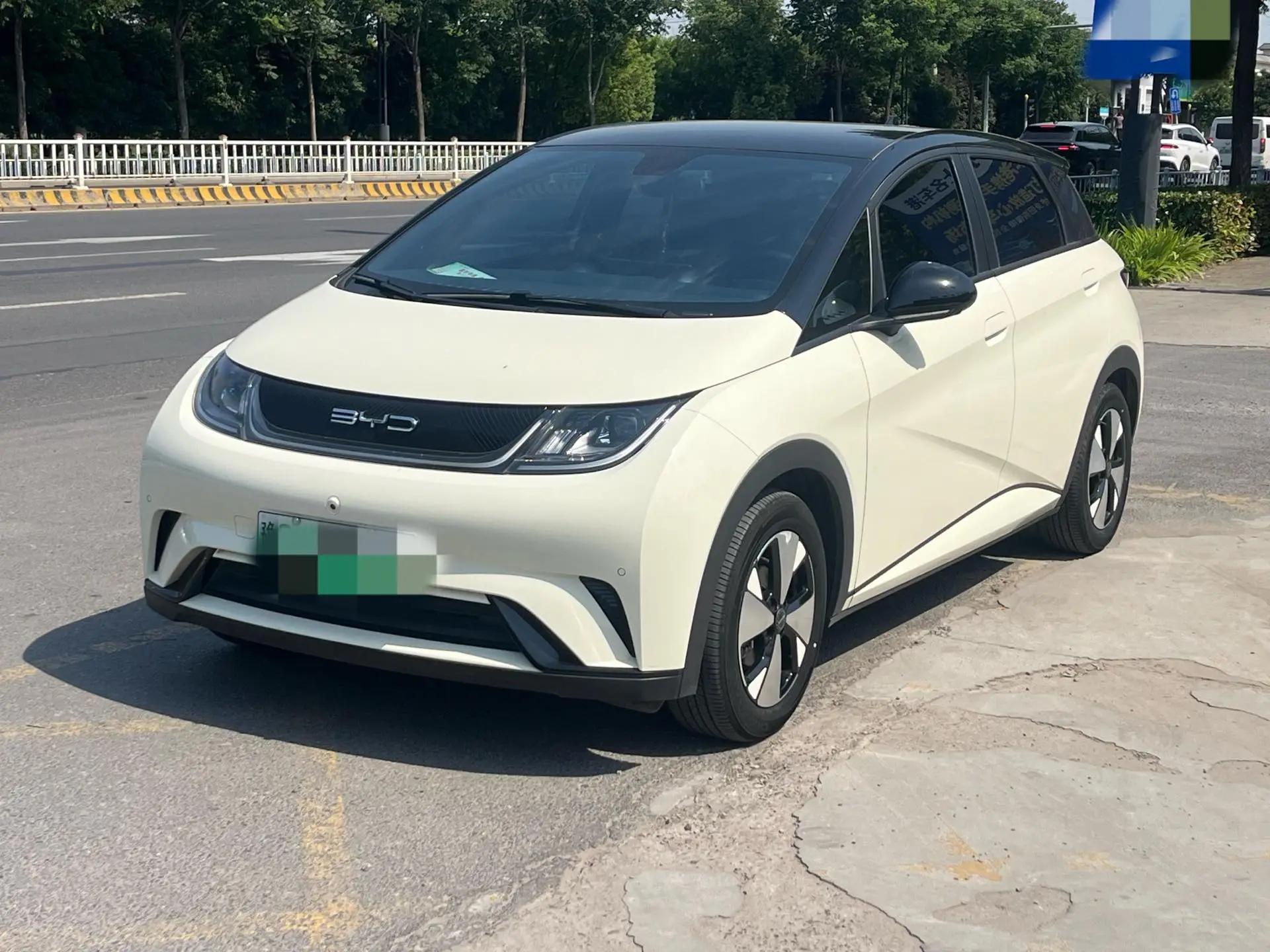 BYD 2023 Dolphin 420km Fashion Edition Automatic