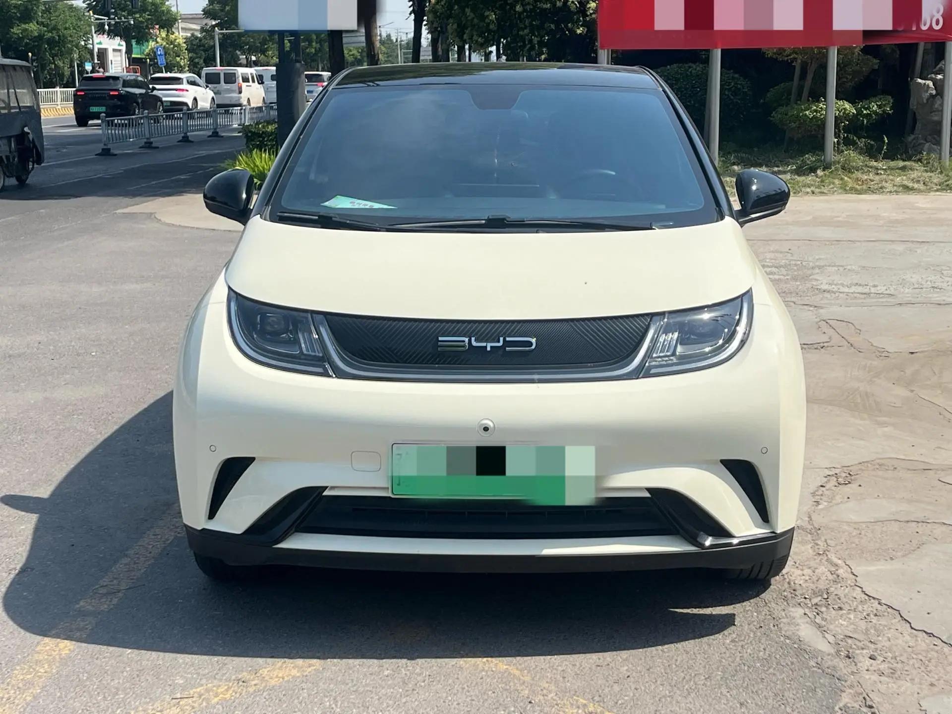 BYD 2023 Dolphin 420km Fashion Edition Automatic 2