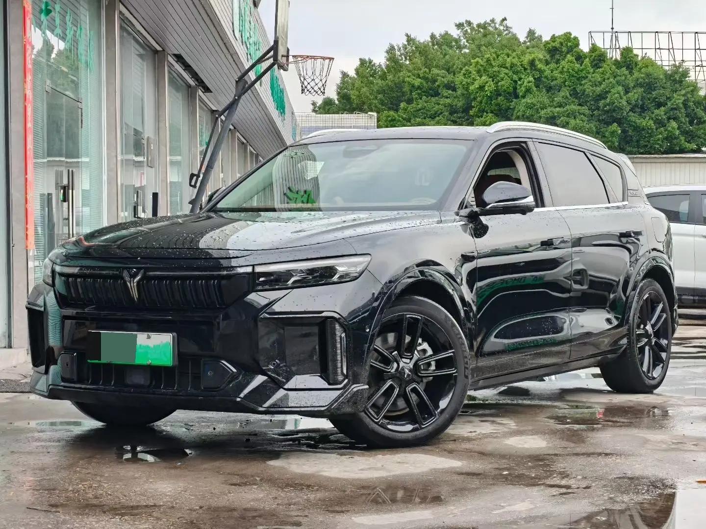Voyah FREE 2024 Super Long Endurance Smart Driving Edition