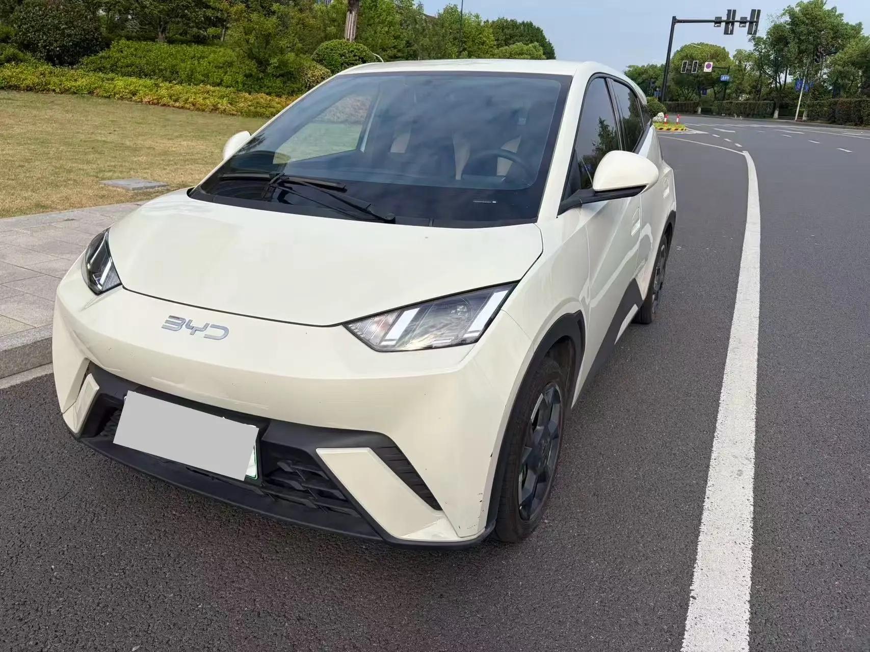BYD 2025 Seagull 405km Flying Edition Automatic Gear