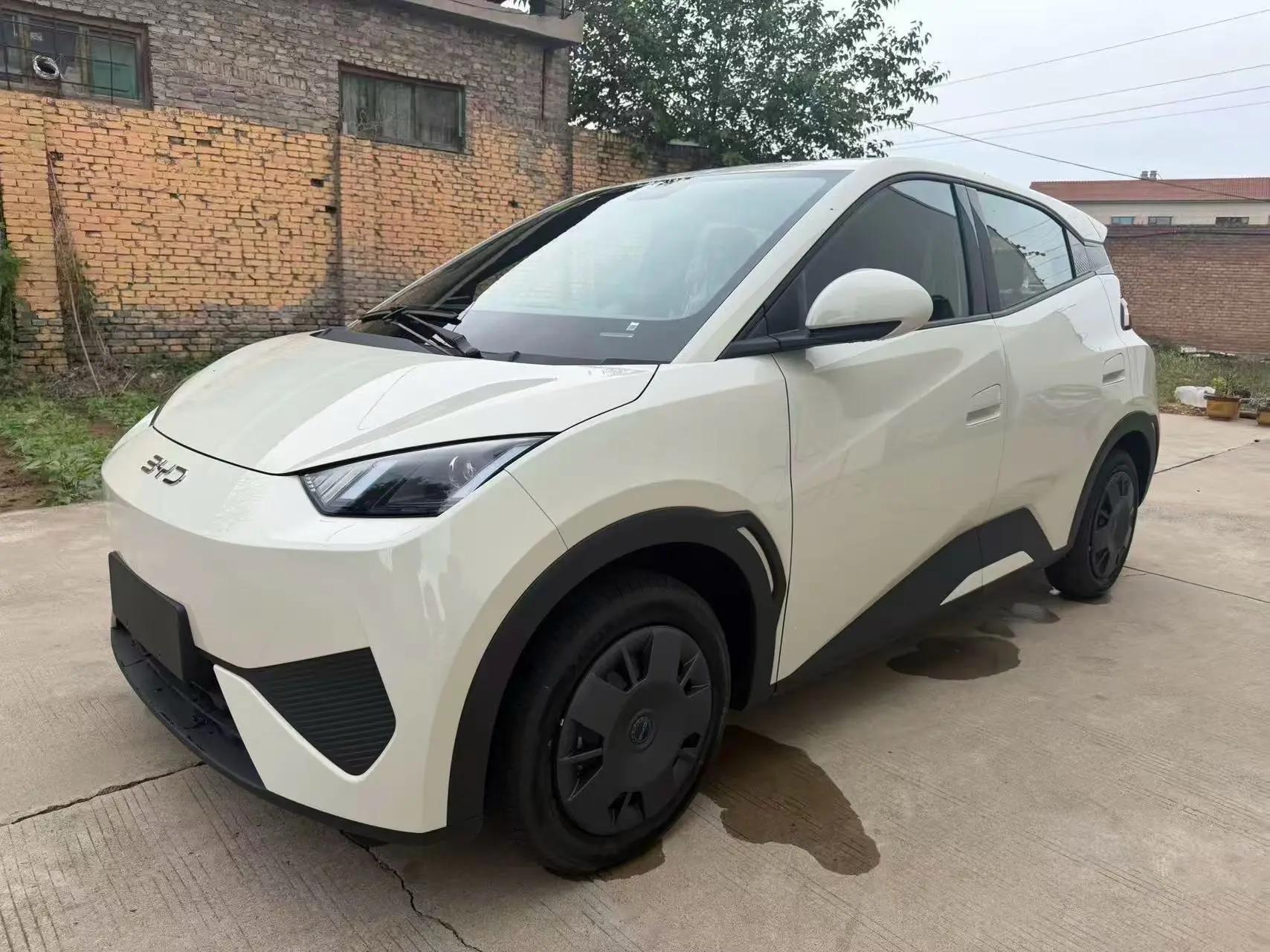BYD 2025 Sea Swallow 305km Vitality Edition Automatic