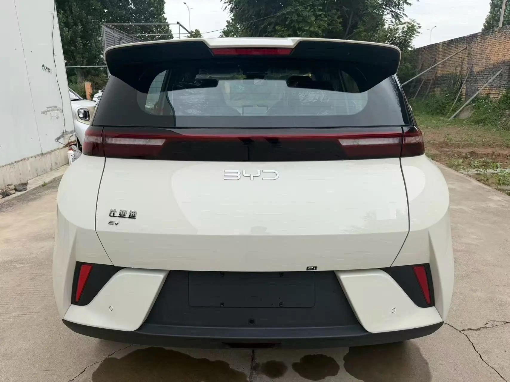 BYD 2025 Sea Swallow 305km Vitality Edition Automatic 7