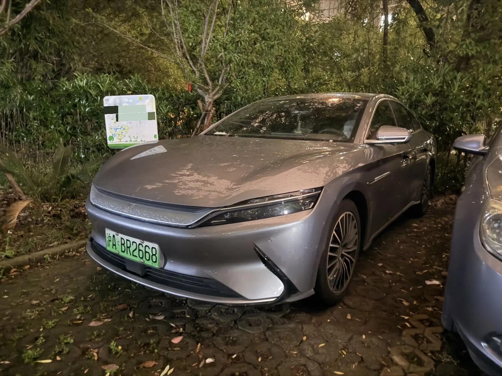 Han 2021 EV Standard Endurance Luxury Model