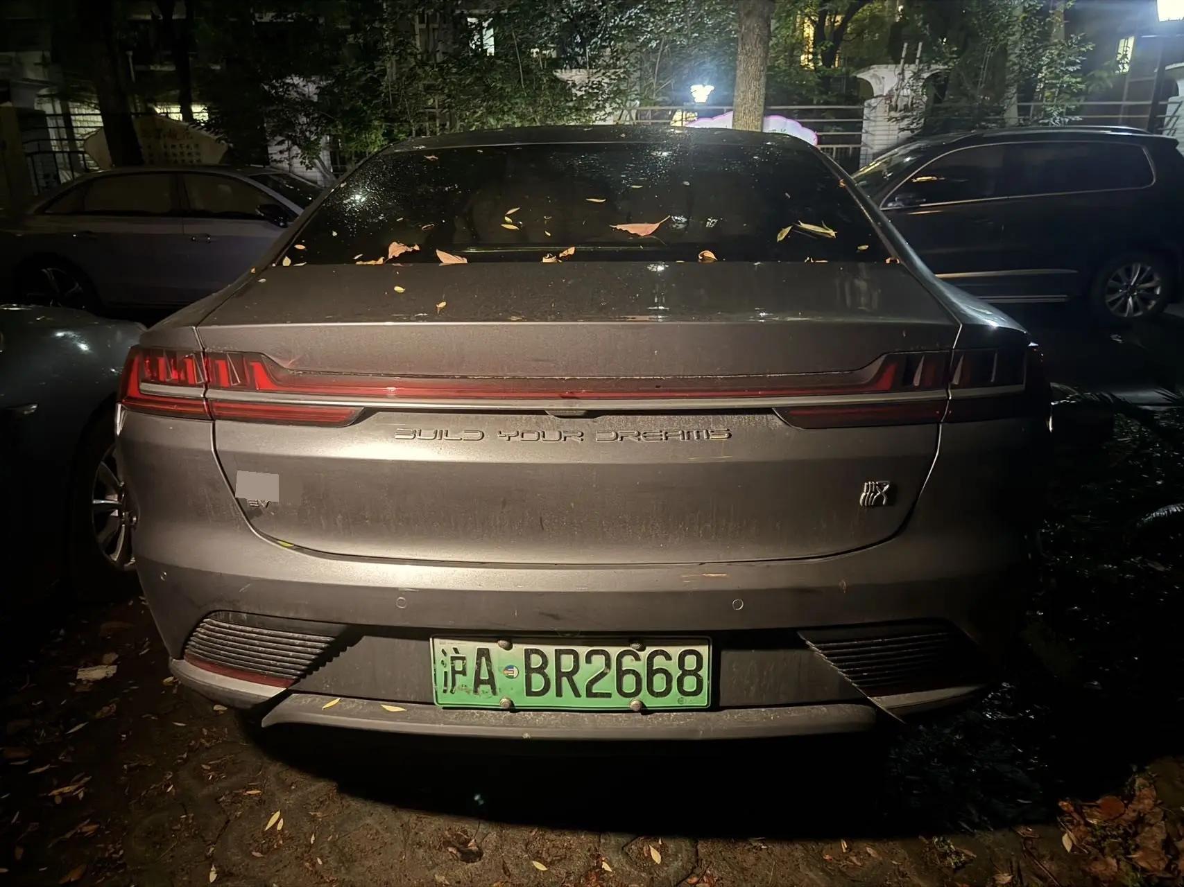 Han 2021 EV Standard Endurance Luxury Model 2