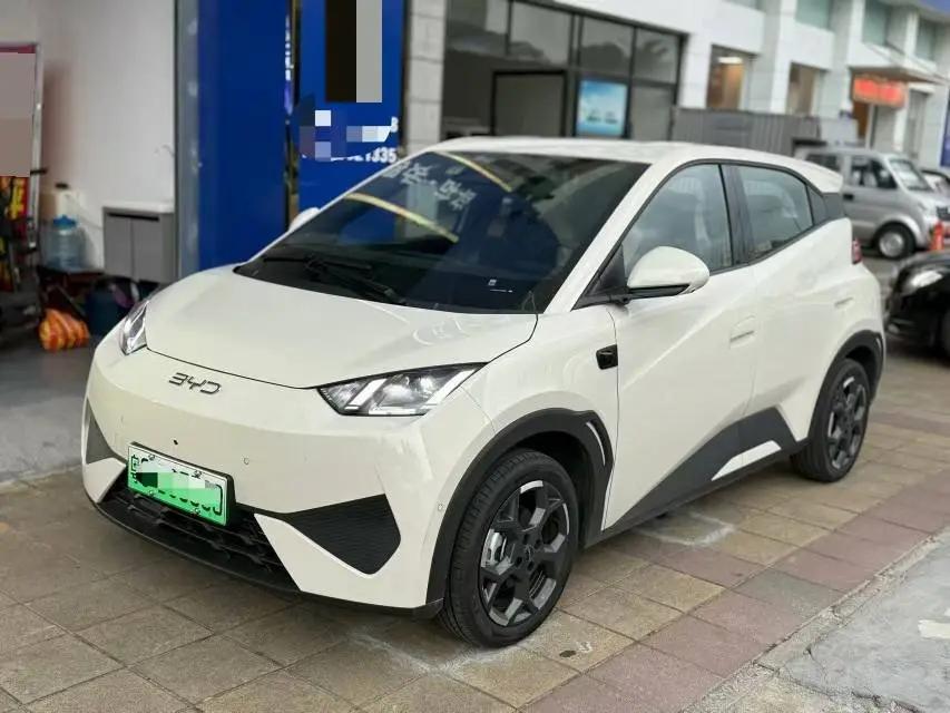 BYD 2025 Seagull Intelligent Driving Version 305km Free Edition Automatic