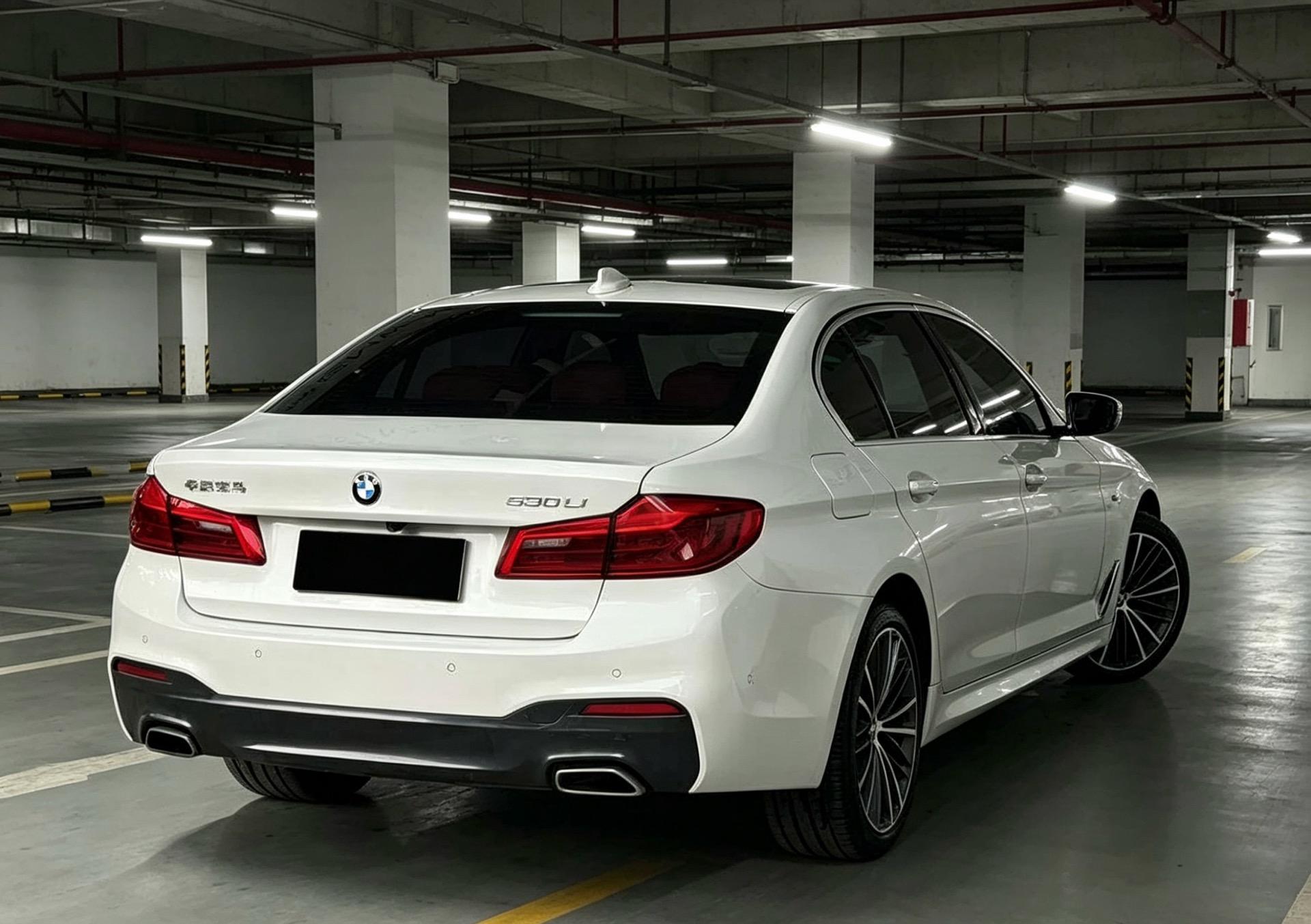 BMW 5 Series 2020 530Li Exclusive M Sports Suit 4