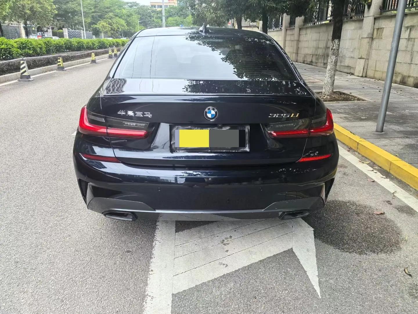 BMW 3 Series 2020 Changed 325Li M Sports Obsidian Night Suit 8