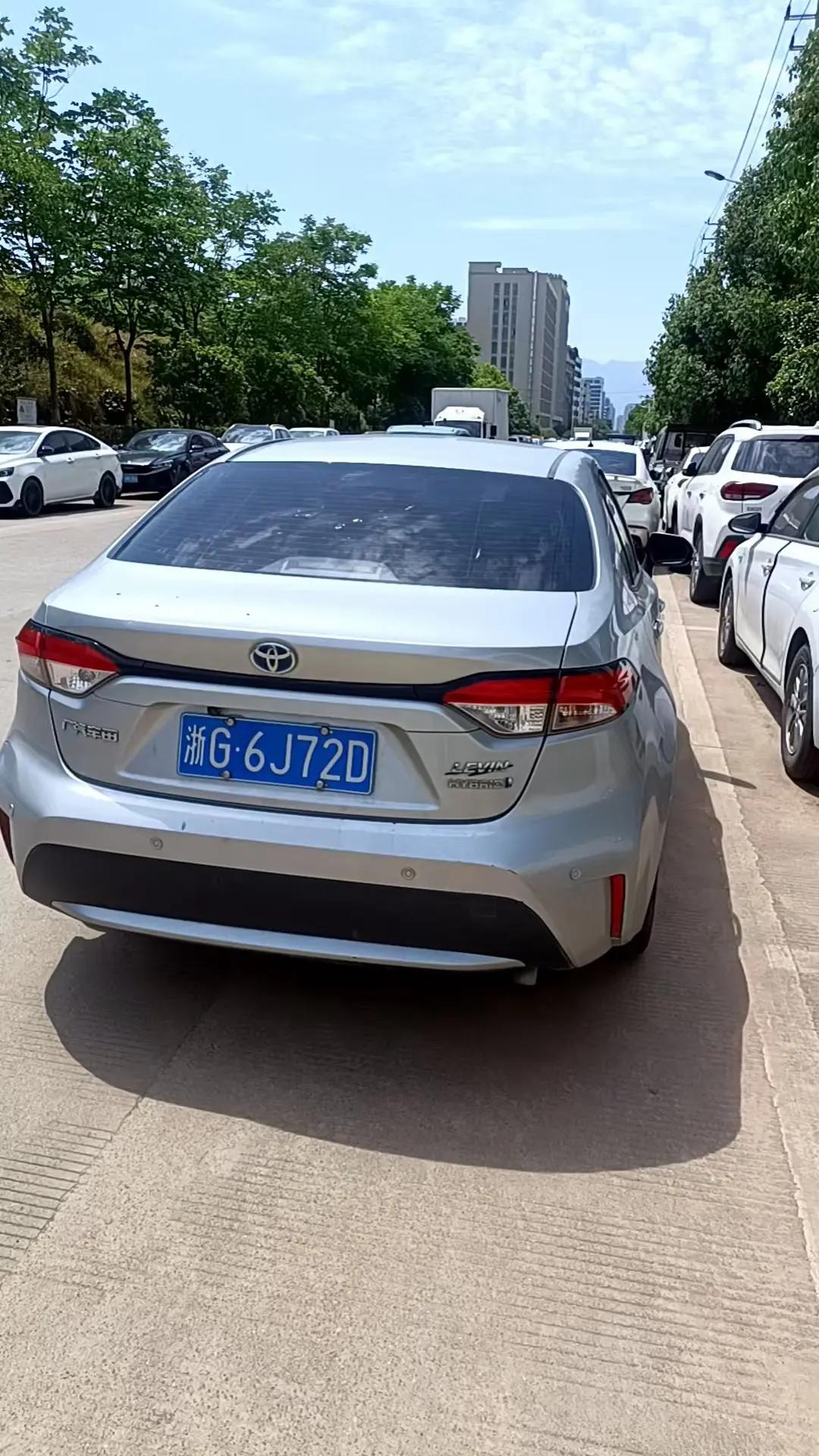 Lei Ling 2022 Double Engine 1.8H E-CVT Enterprising Edition 8