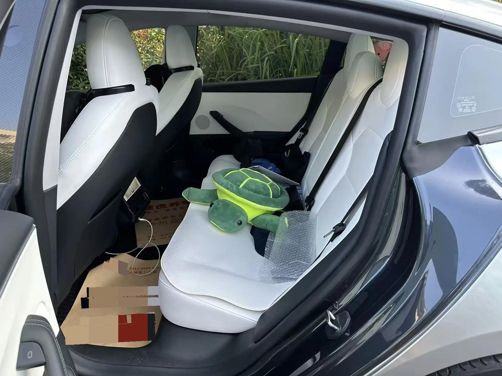 Model 3 2023 Rear-Wheel Drive Edition 5