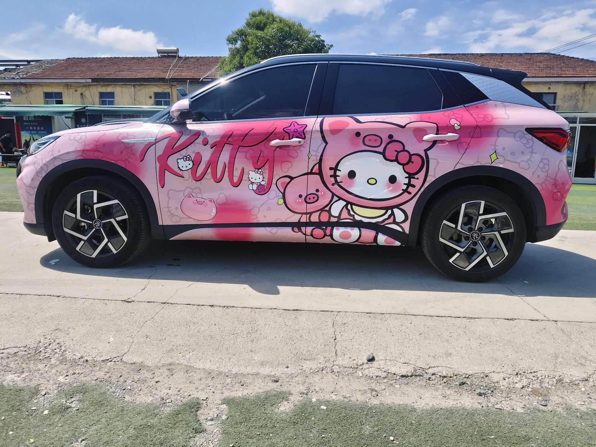 Yuan PLUS 2022 510KM Honor Model 13