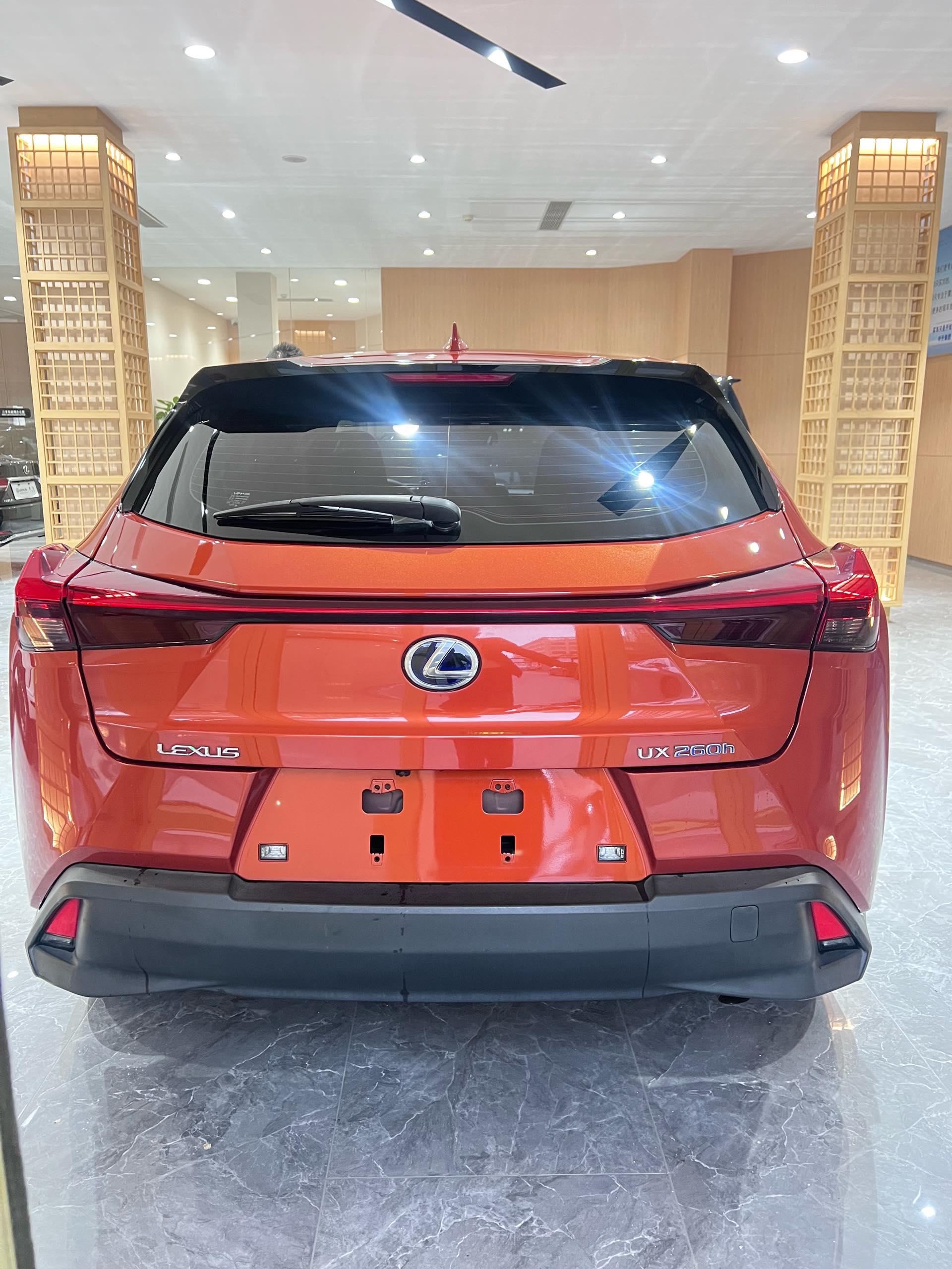 Lexus UX 2020 260h Probe Cool Edition 5