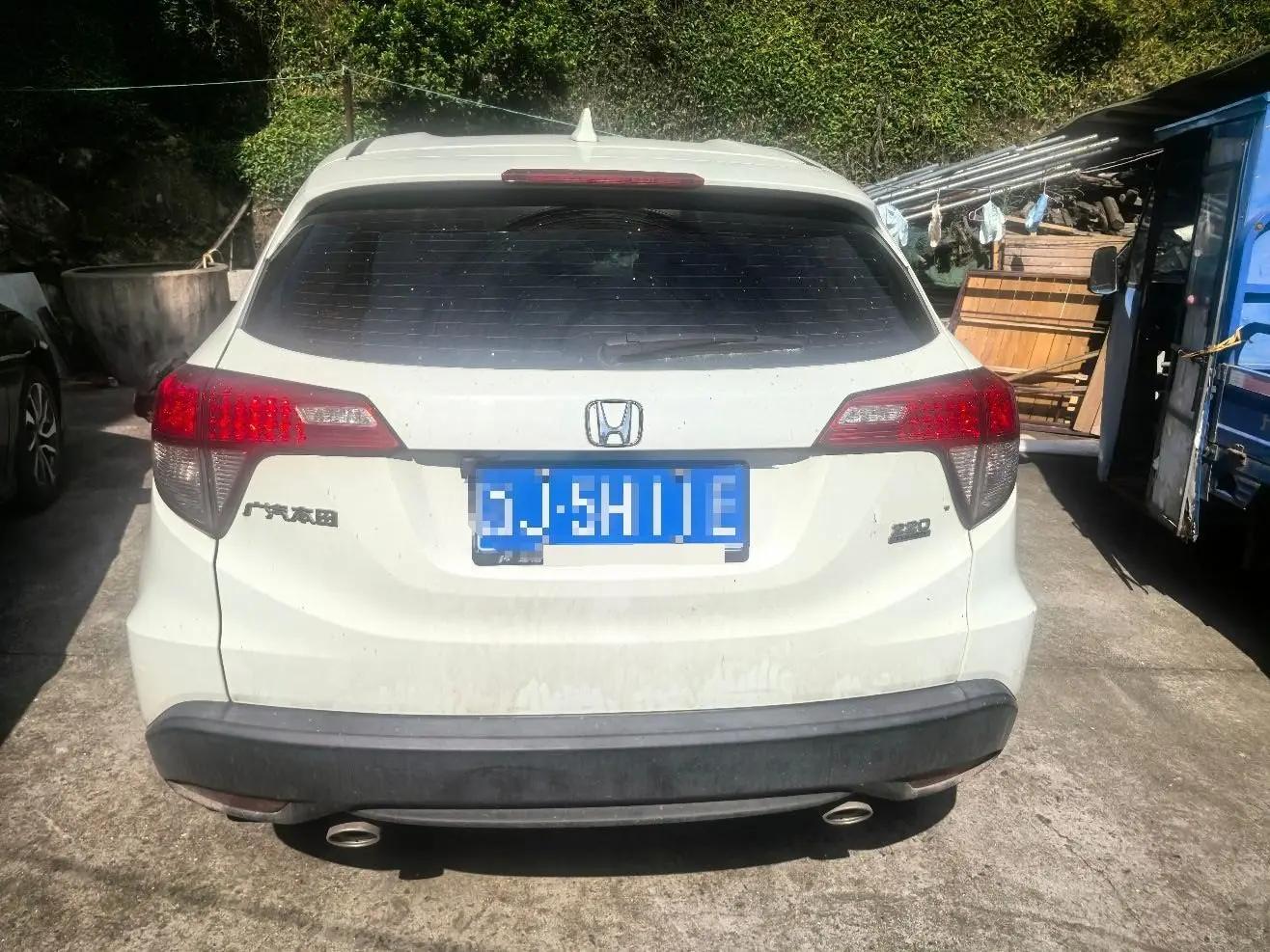 Binzhi 2019 220 TURBO CVT Elite Edition National V 4