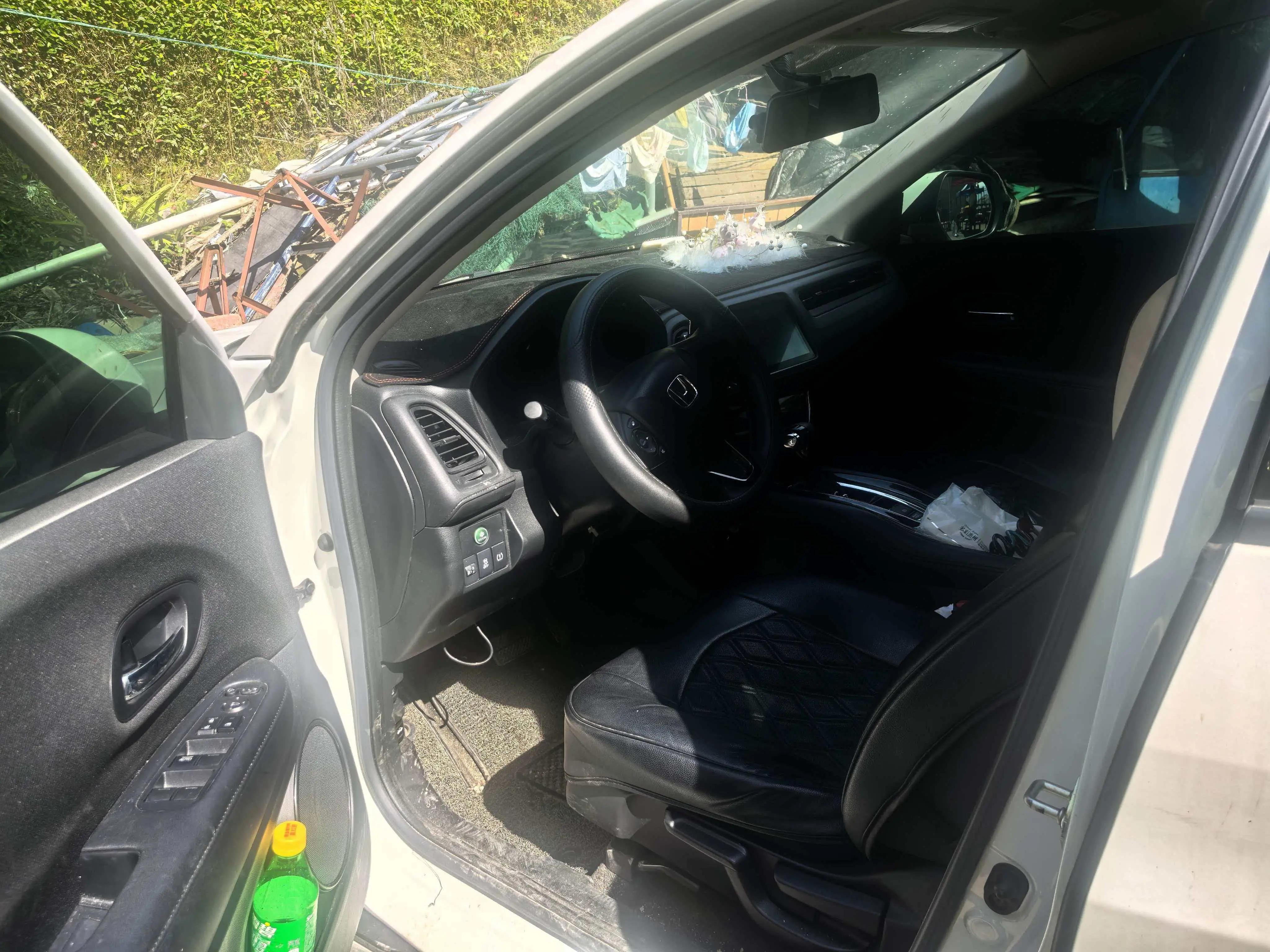 Binzhi 2019 220 TURBO CVT Elite Edition National V 5