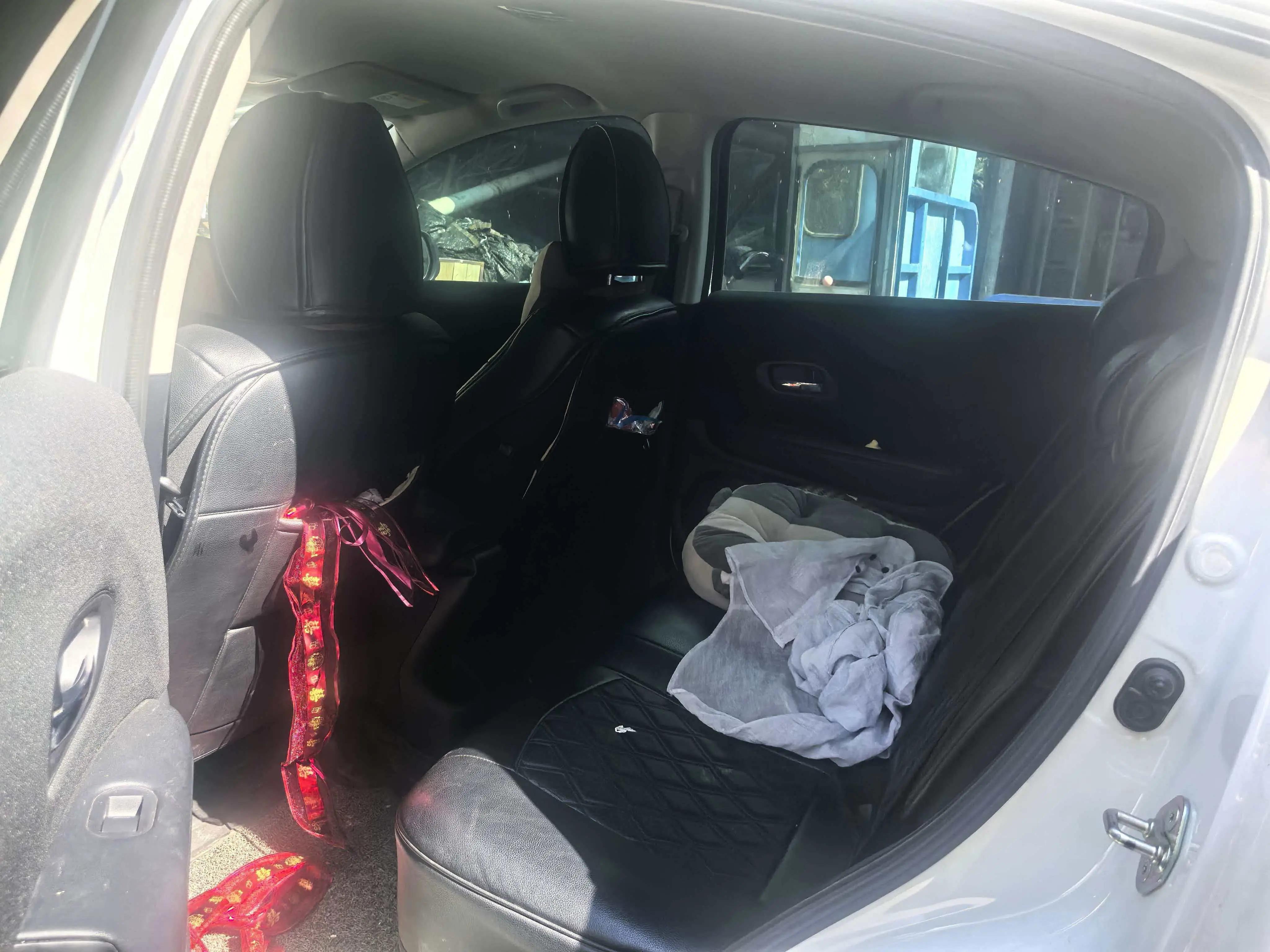 Binzhi 2019 220 TURBO CVT Elite Edition National V 6
