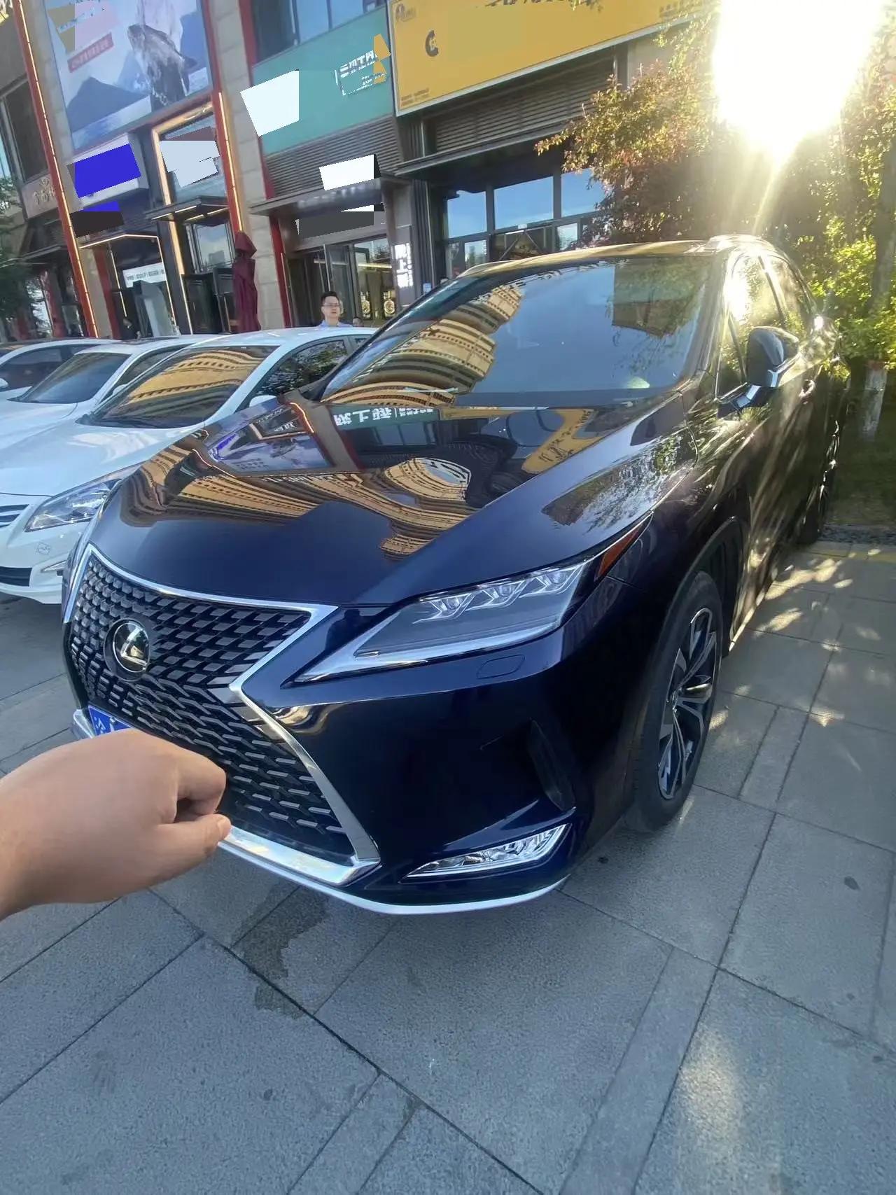 Lexus RX 2021 300 4WD Special Edition