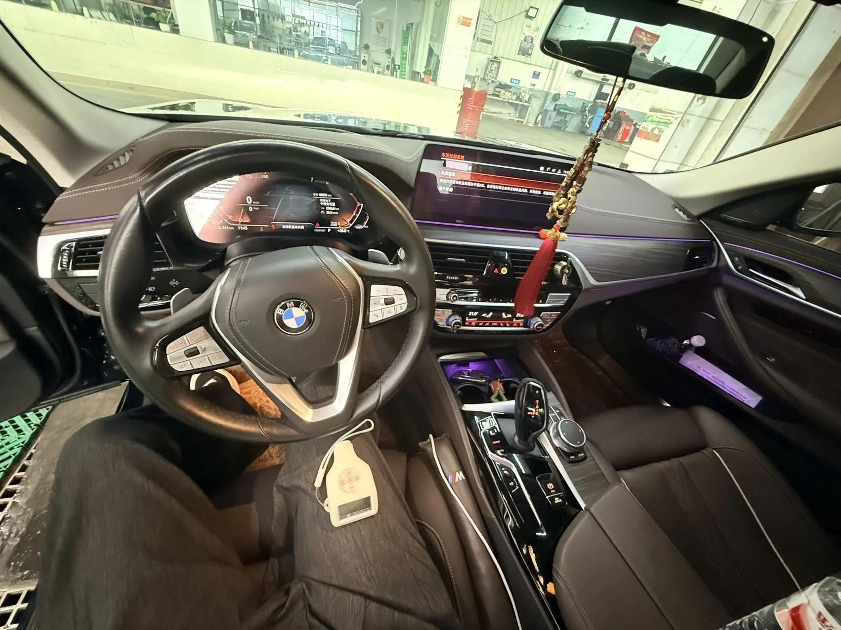 BMW 5 Series 2021 530Li Leading Luxury Suit 8