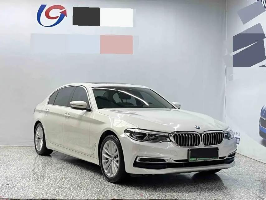 BMW 5 New Energy 2020 Mileage Upgraded 530Le Deluxe Suit 2
