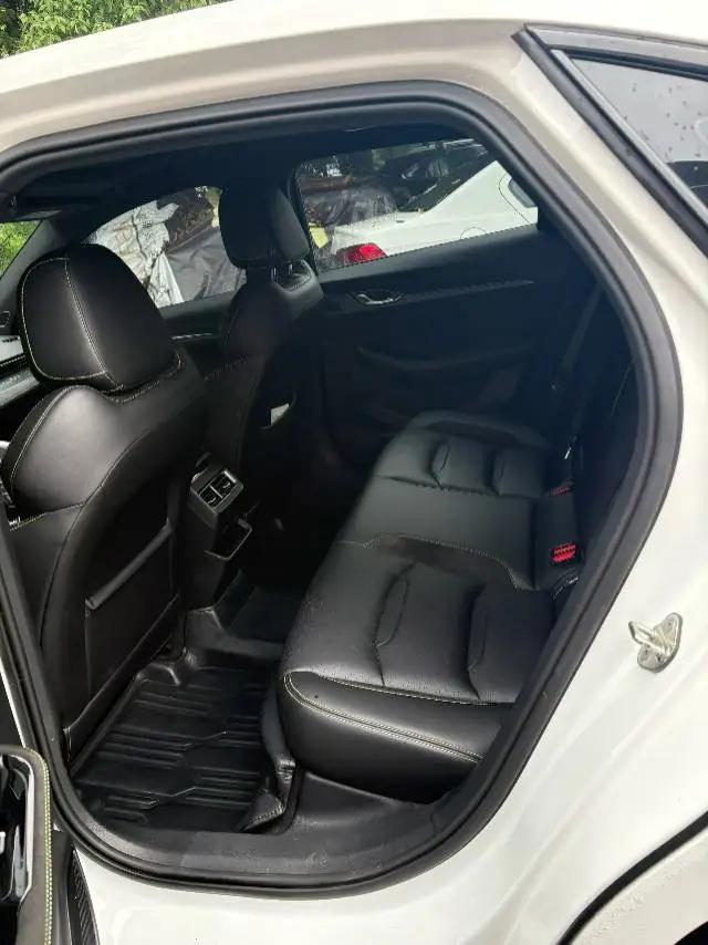 Xingrui 2021 2.0TD Luxury Model 7