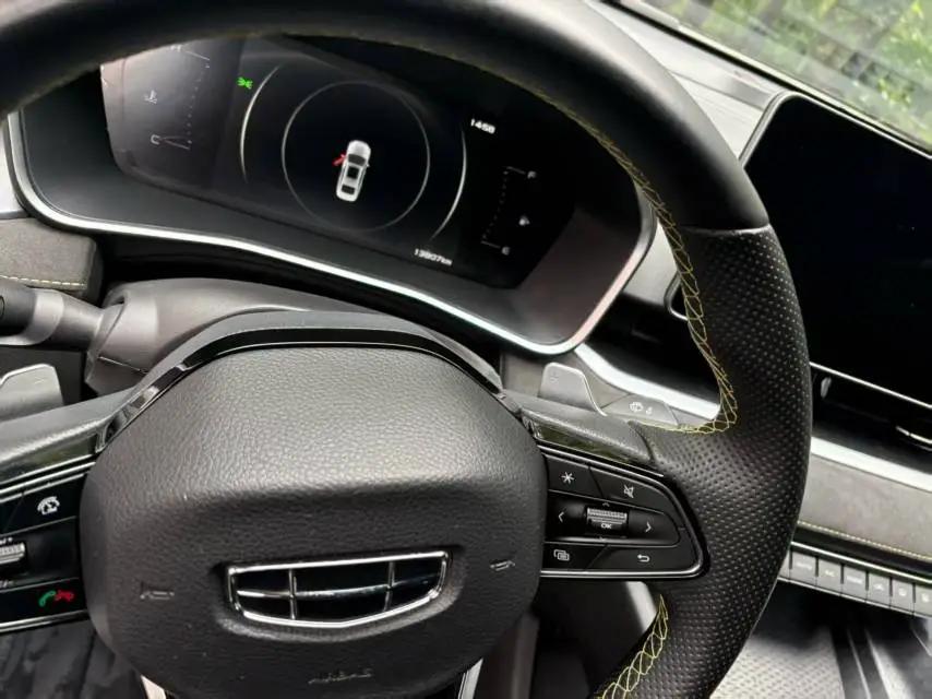 Xingrui 2021 2.0TD Luxury Model 8