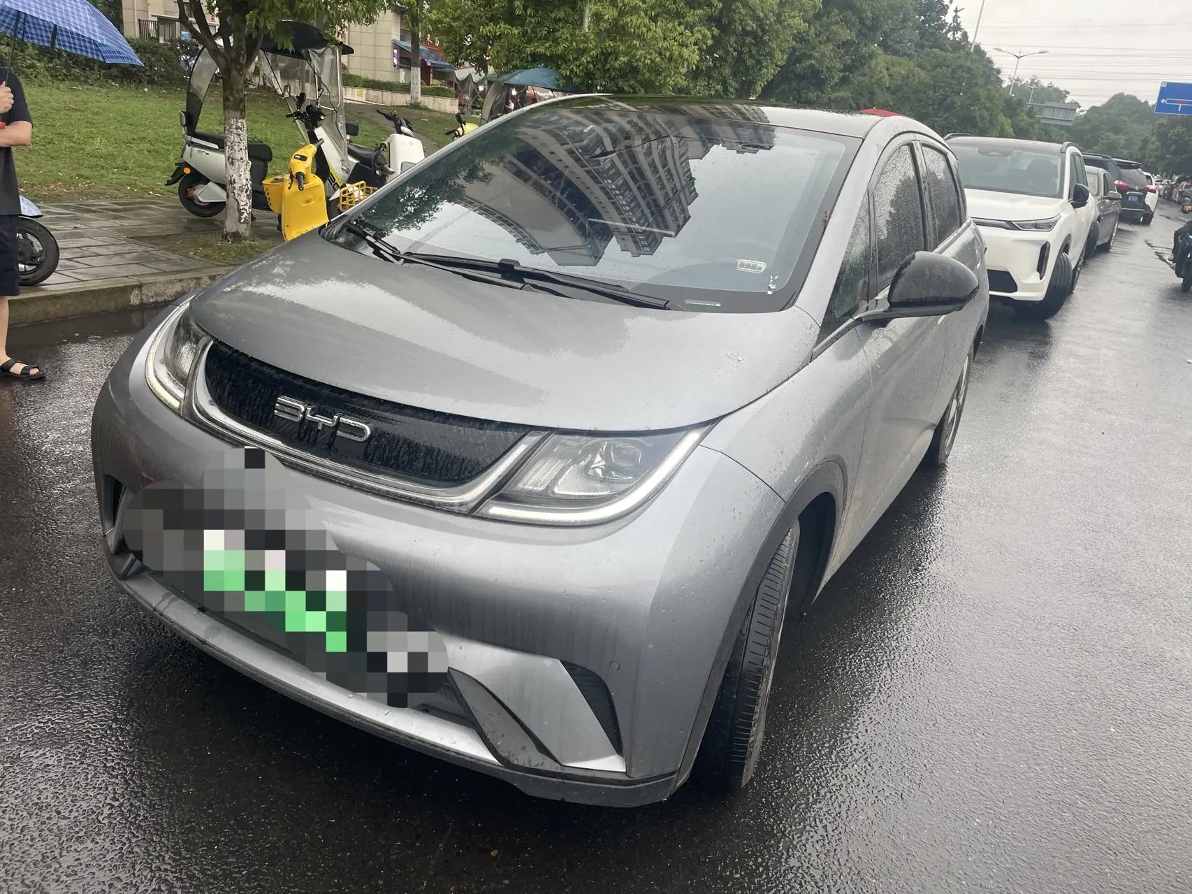 BYD 2023 Dolphin 420km Fashion Edition Automatic