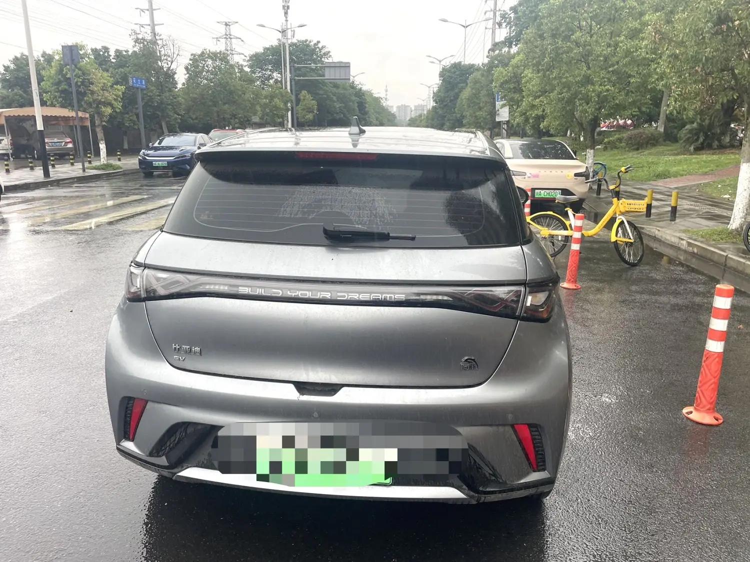 BYD 2023 Dolphin 420km Fashion Edition Automatic 4