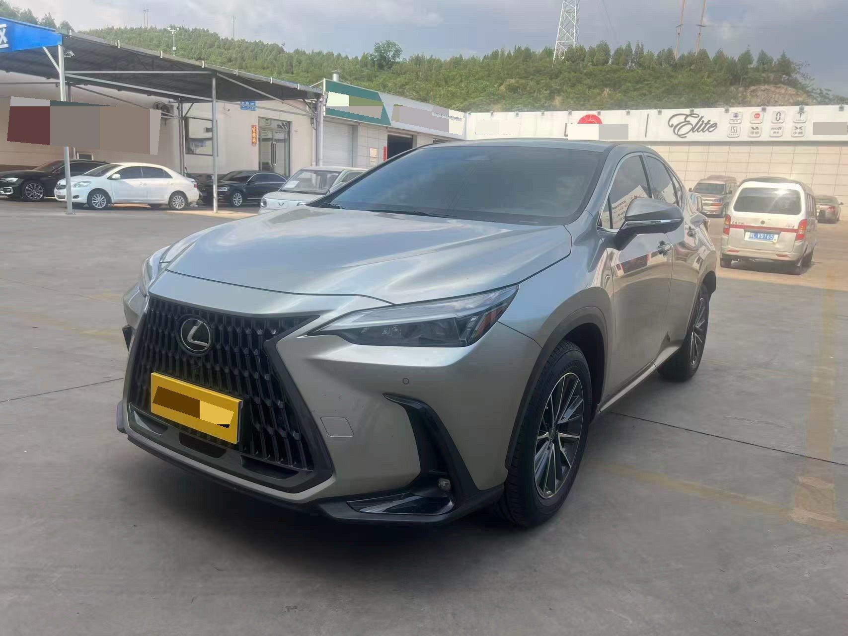 Open image lightbox: Lexus NX 2022 260 Precursor Chuangchi Edition