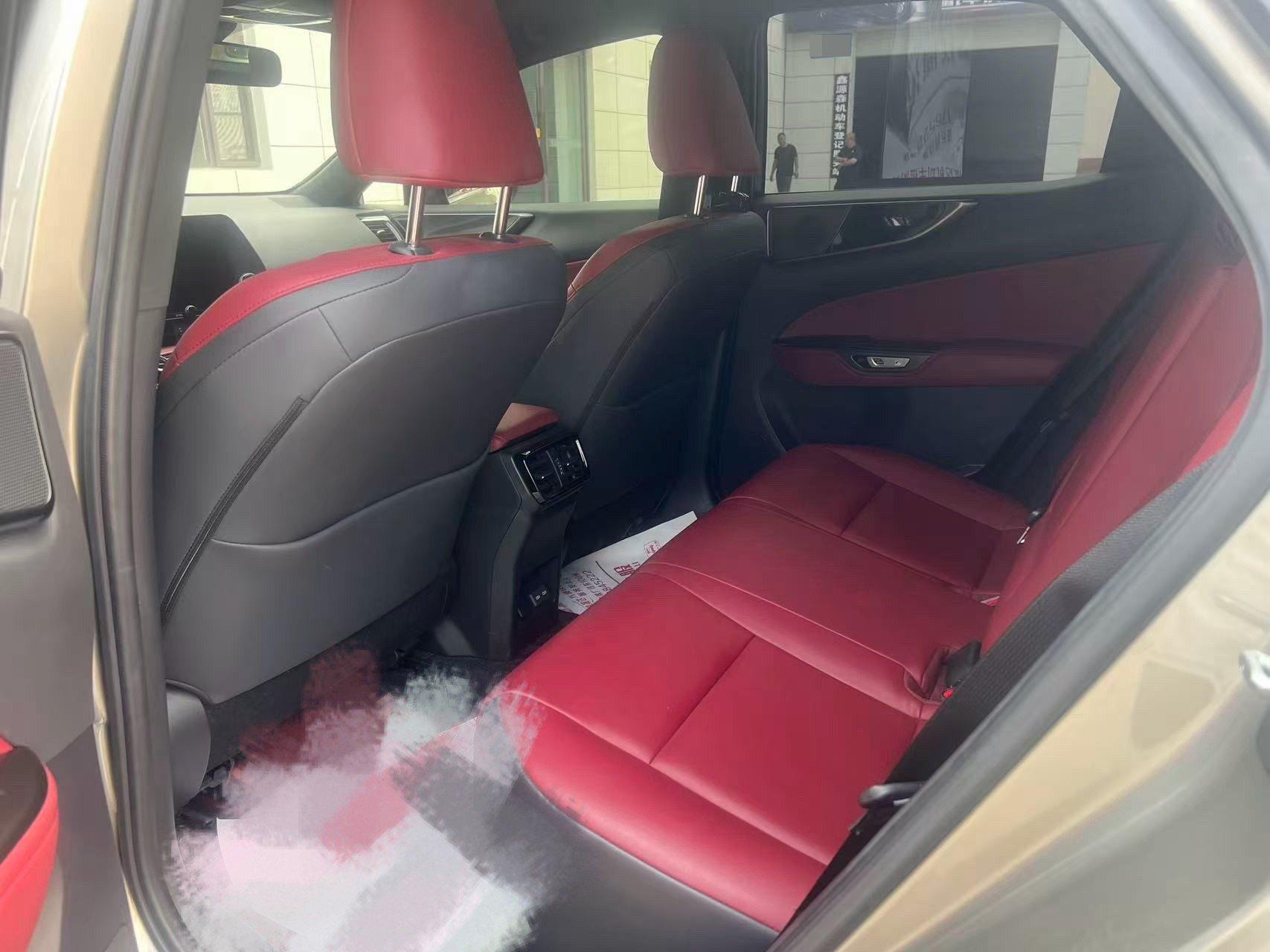 Lexus NX 2022 260 Precursor Chuangchi Edition 4