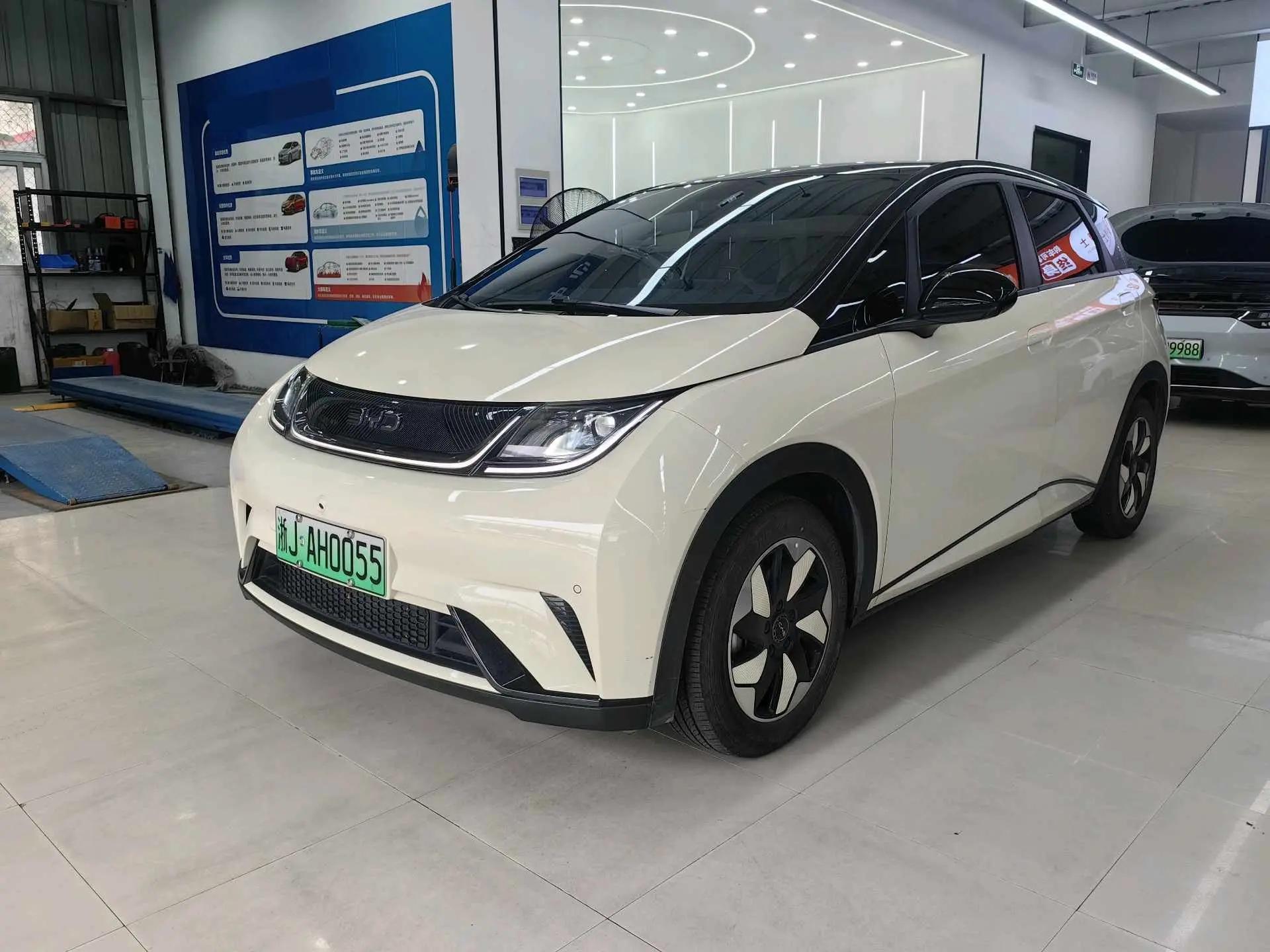 BYD 2024 Dolphin Glory Edition 420km Fashion Version Automatic