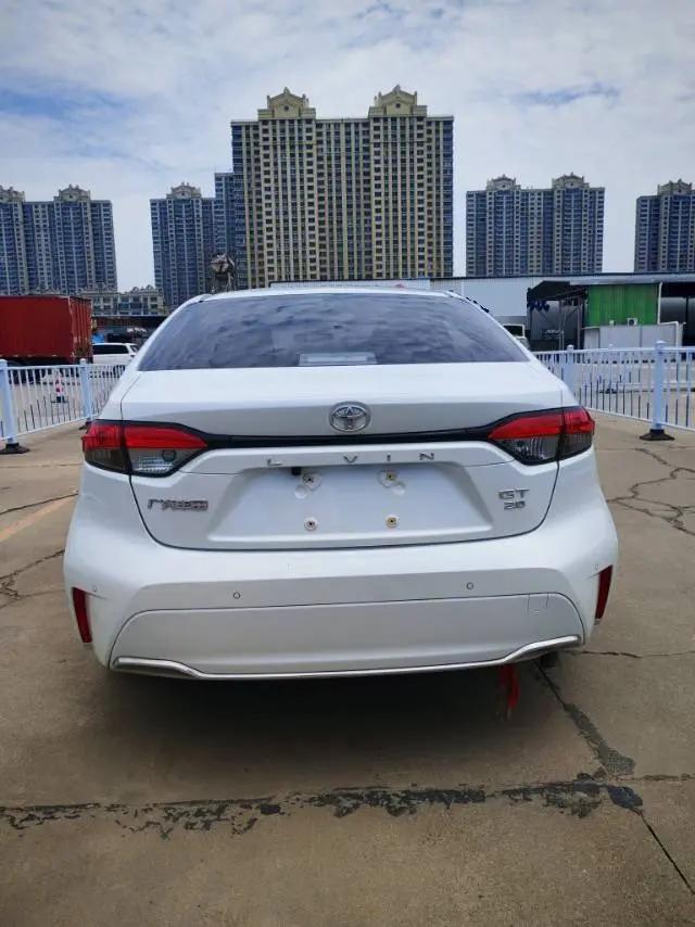 Ling Shang 2021 2.0L Deluxe Edition 5