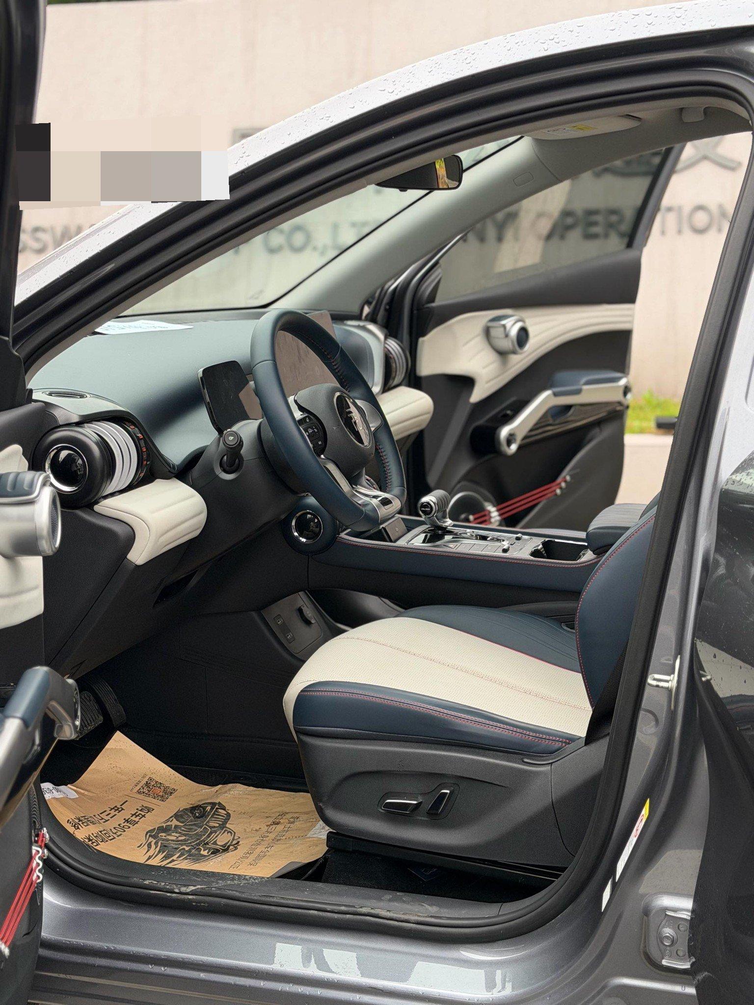 Yuan PLUS 2022 430KM Luxury Model 8