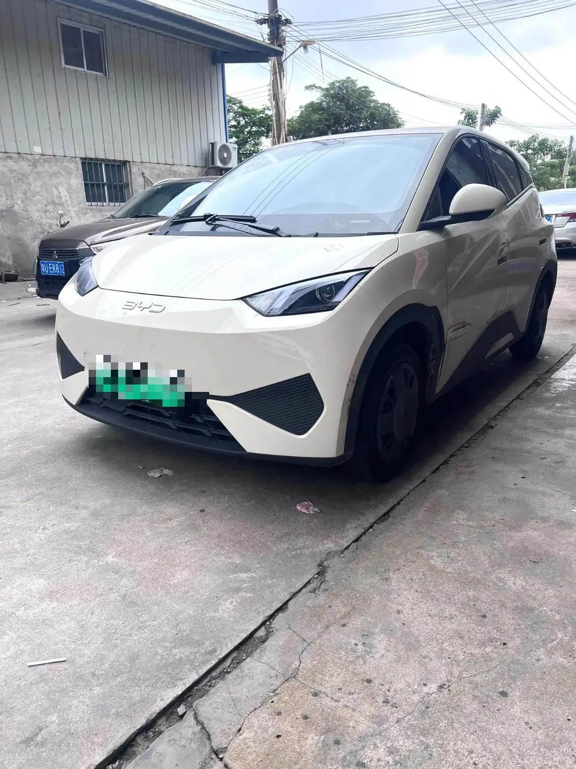 BYD 2025 Seagull Intelligent Driving Edition 305km Vitality Edition Automatic