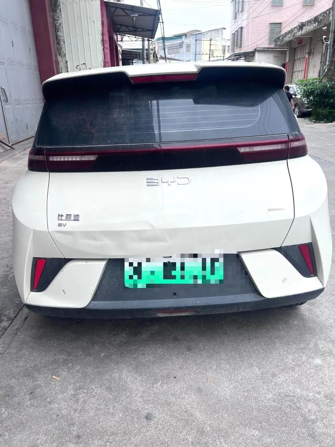 BYD 2025 Seagull Intelligent Driving Edition 305km Vitality Edition Automatic 6