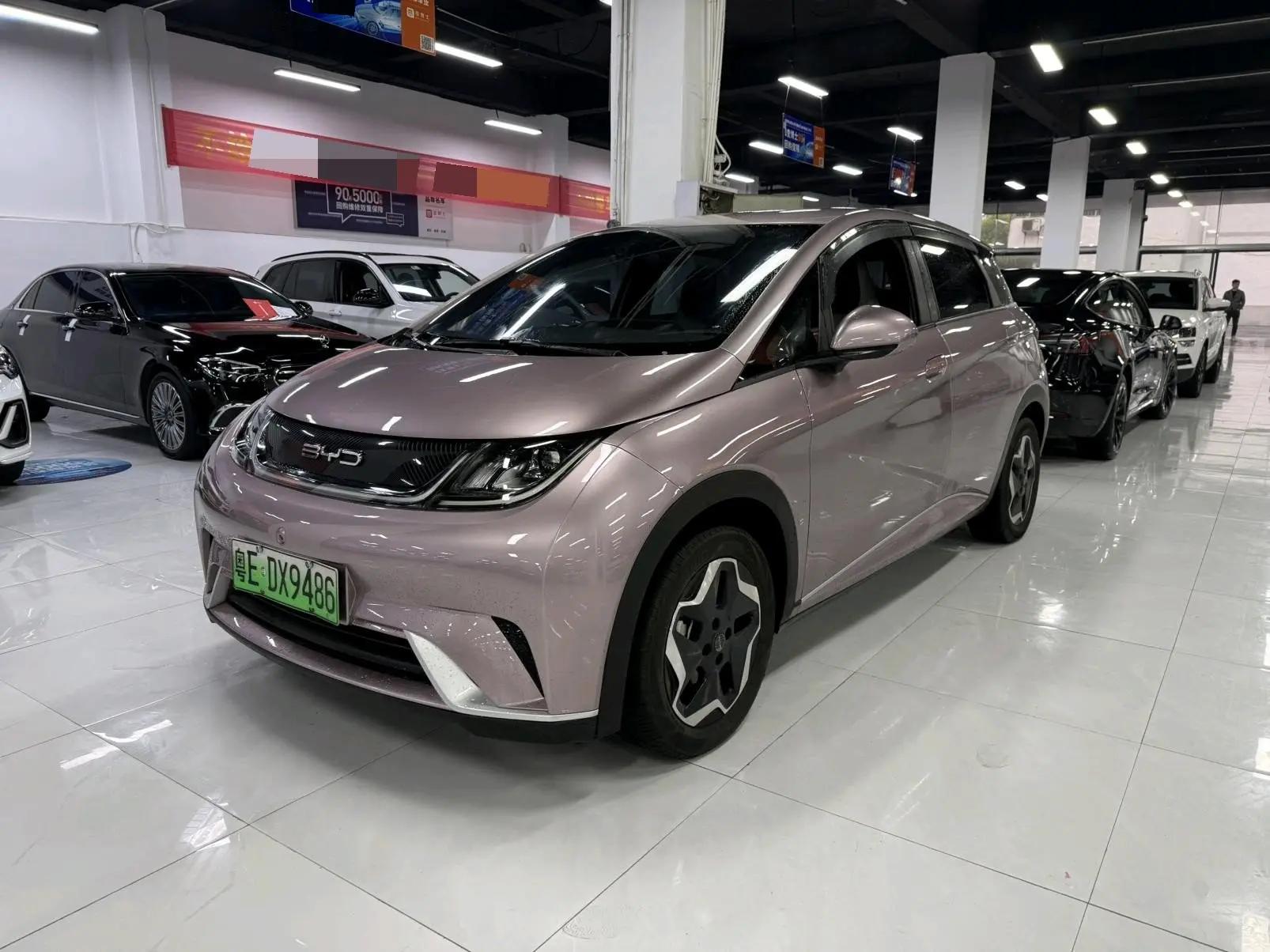 Dolphin 2021 405km Free Edition