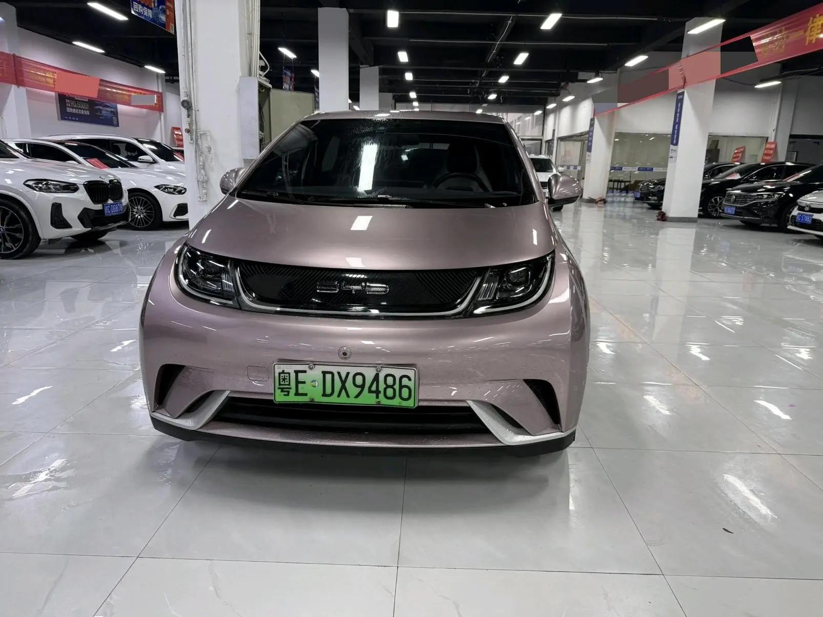 Dolphin 2021 405km Free Edition 2