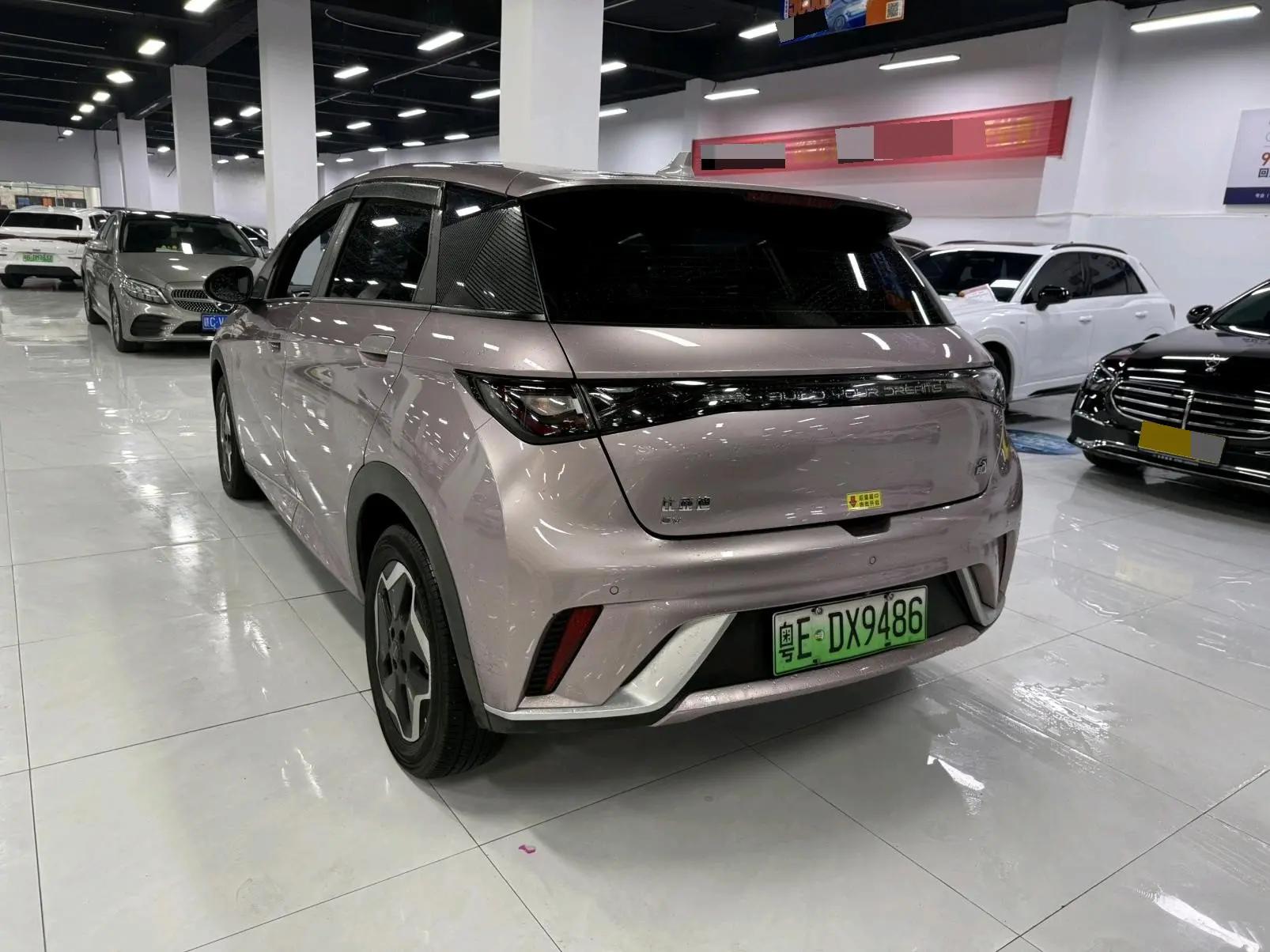 Dolphin 2021 405km Free Edition 6