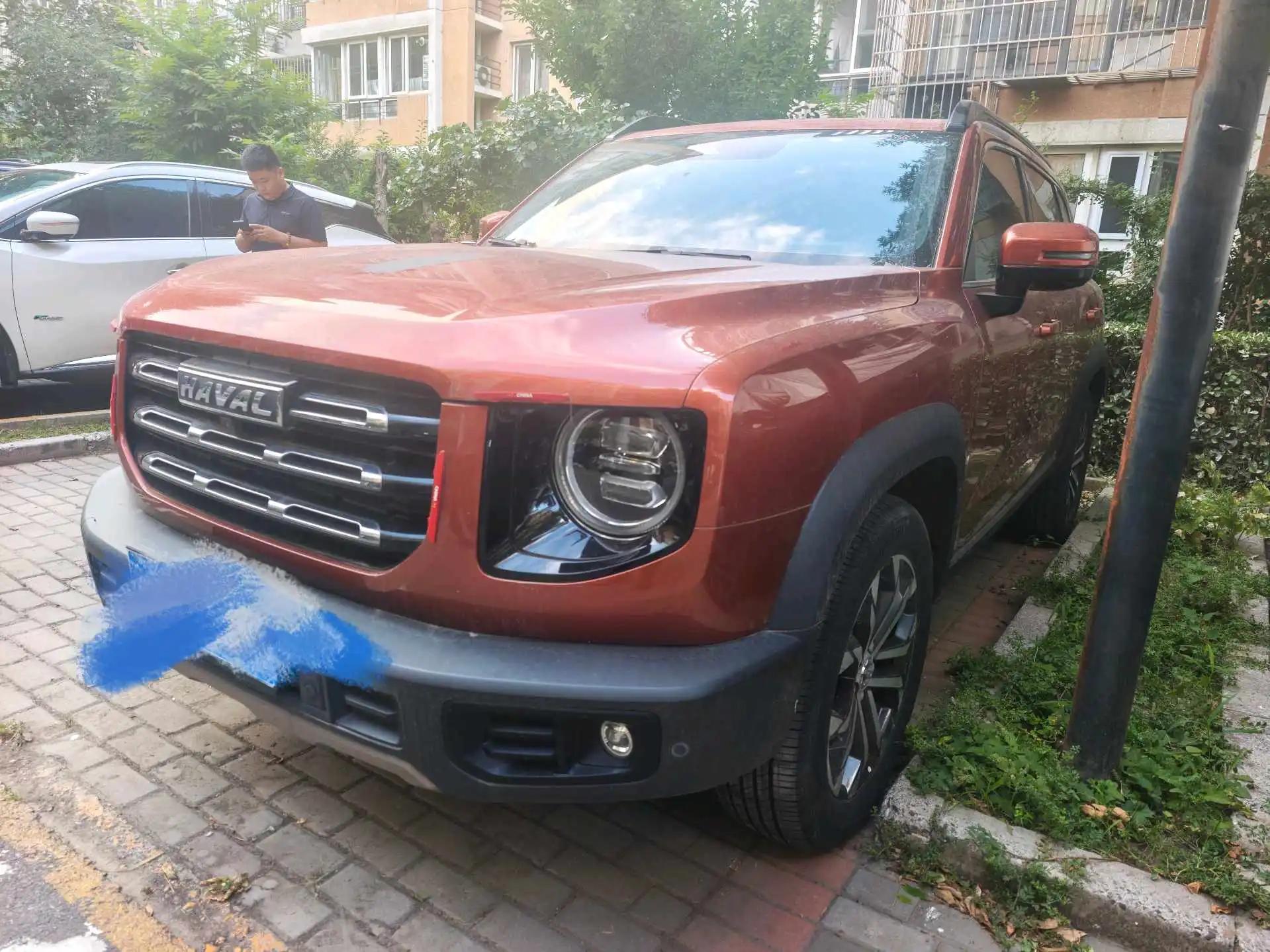 Haval Big Dog 2021 1.5T DCT Two-Wheel-Drive Border Collie Edition