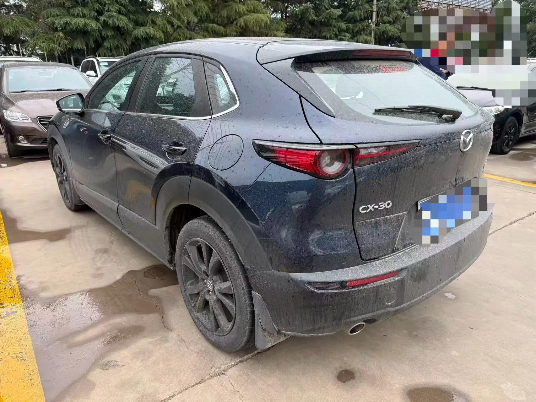 Mazda CX-30 2020 2.0L automatic pleasing type 4
