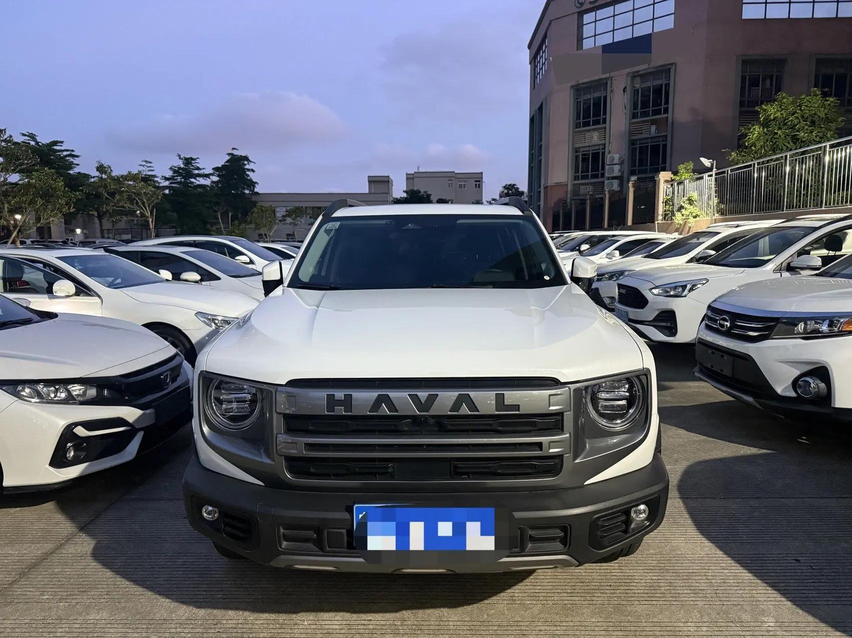 Haval 2024 Dog 1.5T Border Collie Edition Automatic 2