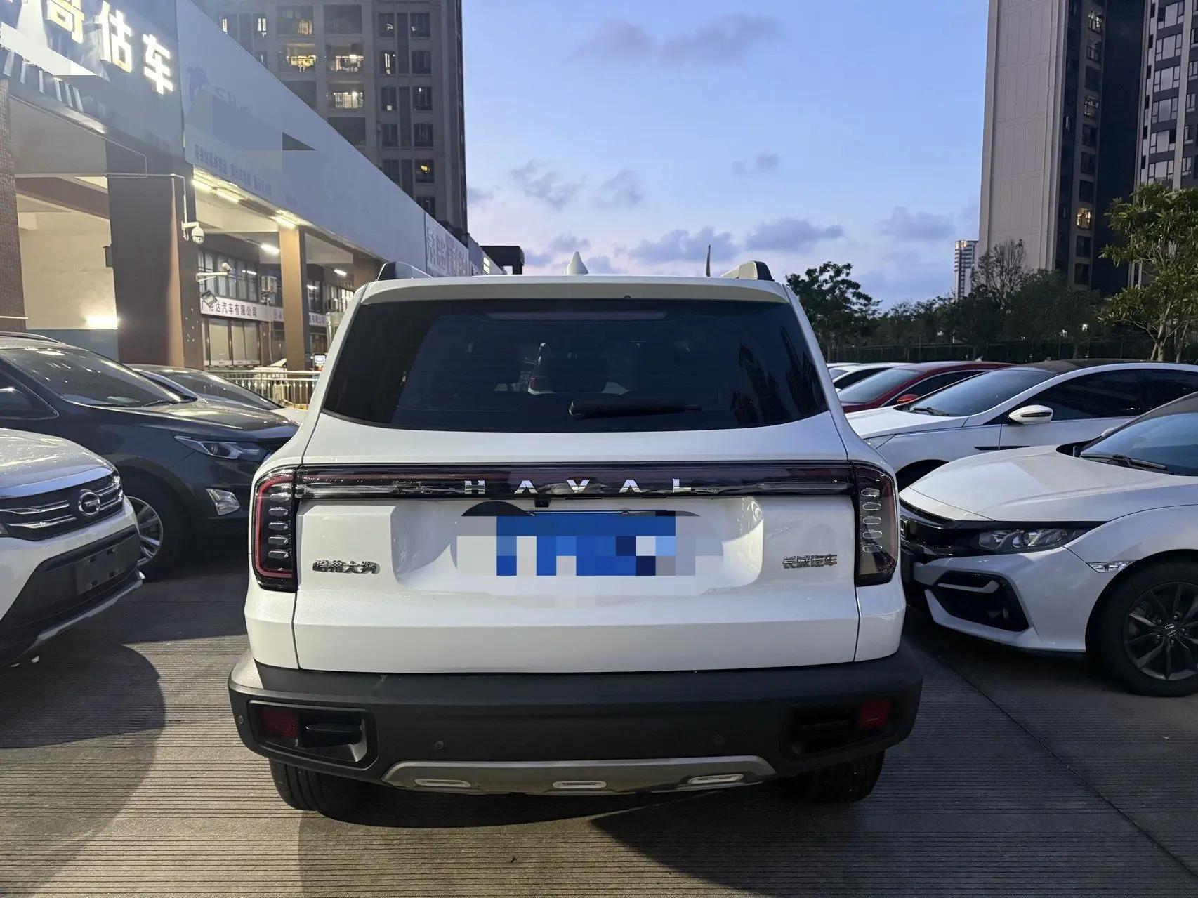Haval 2024 Dog 1.5T Border Collie Edition Automatic 3