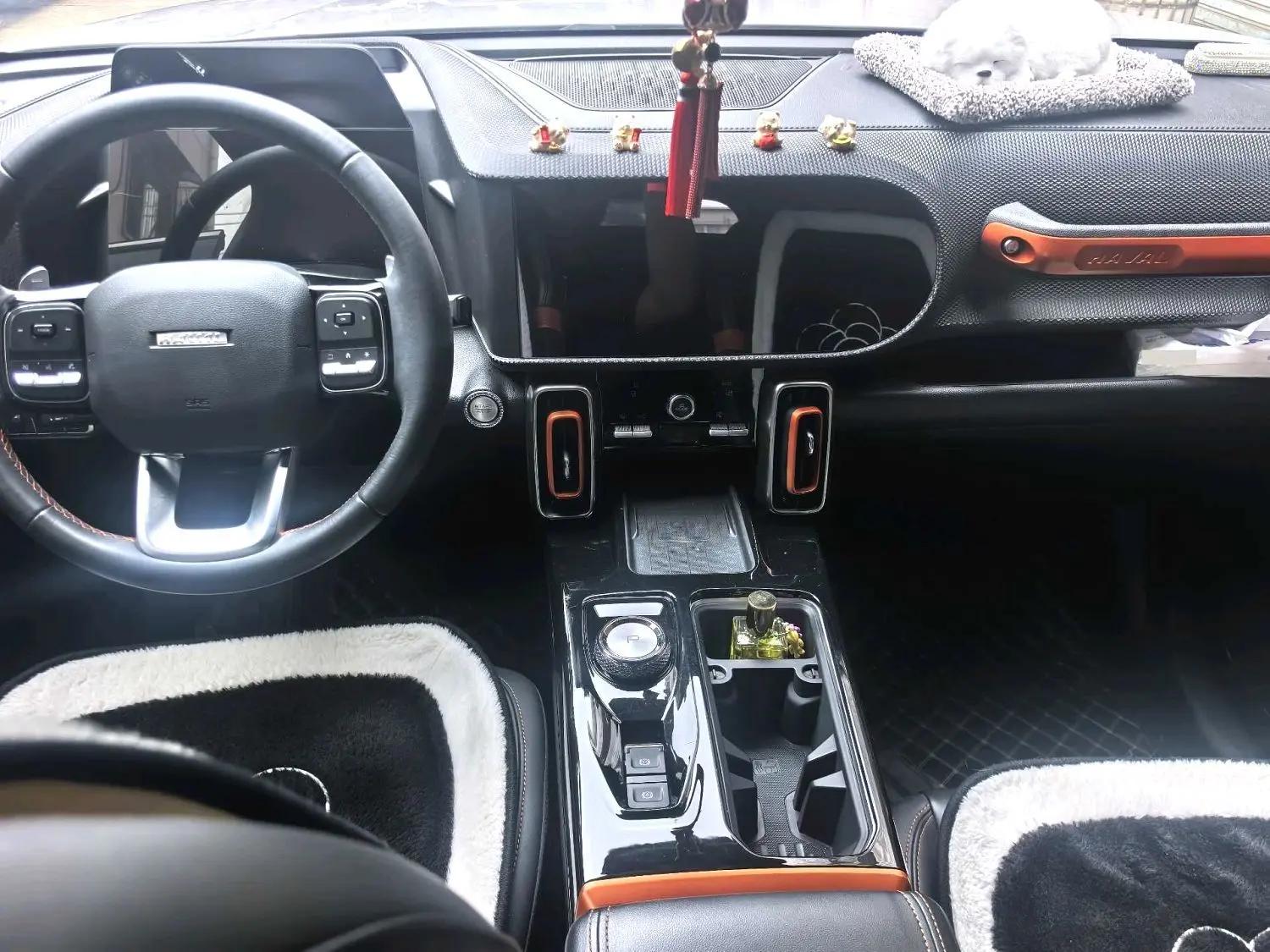 Haval Big Dog 2021 1.5T DCT Two-Drive Border Animal Husbandry-Wangcai Edition 4