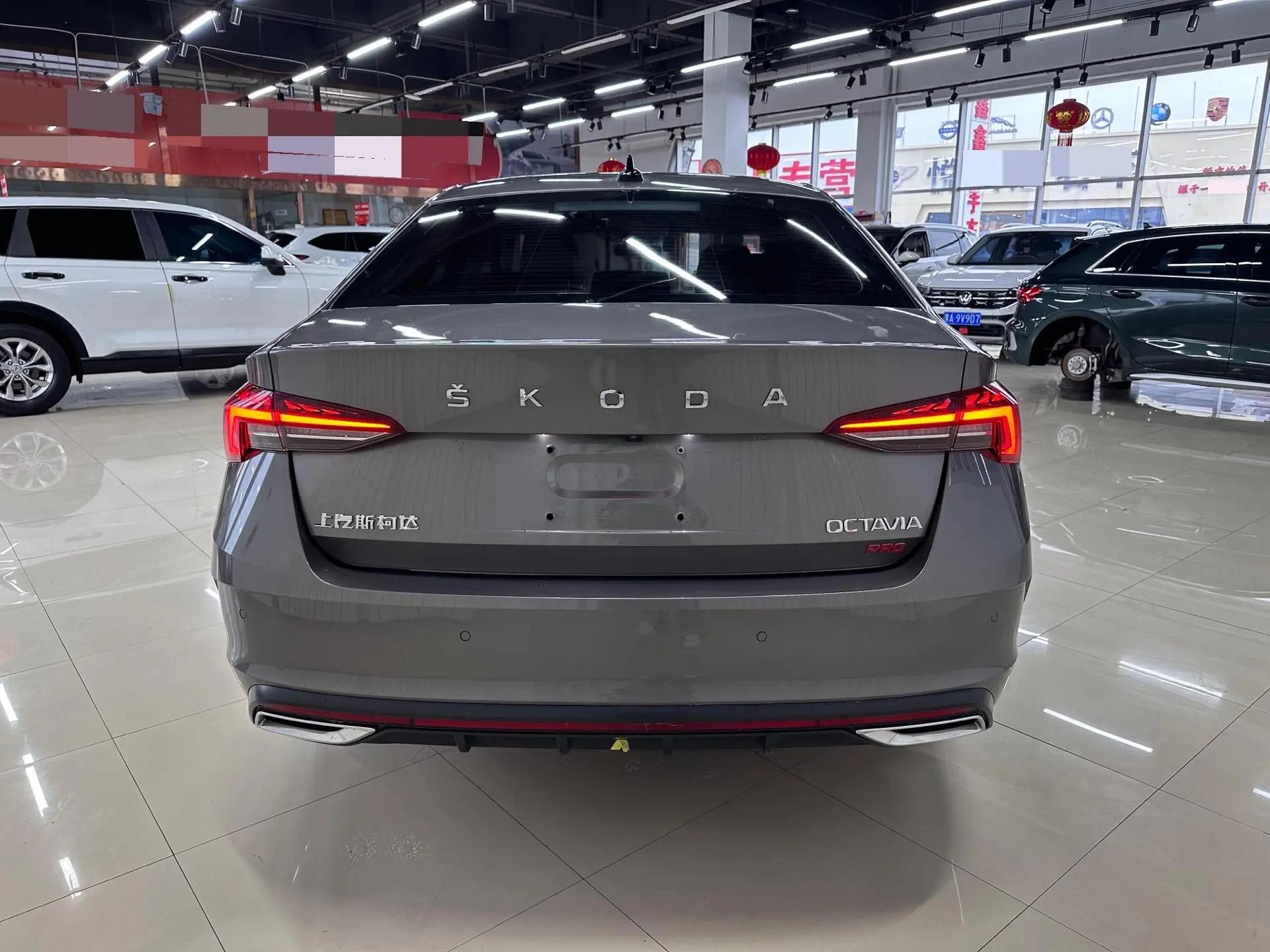 Ming Rui 2022 PRO TSI280 Luxury Edition 5