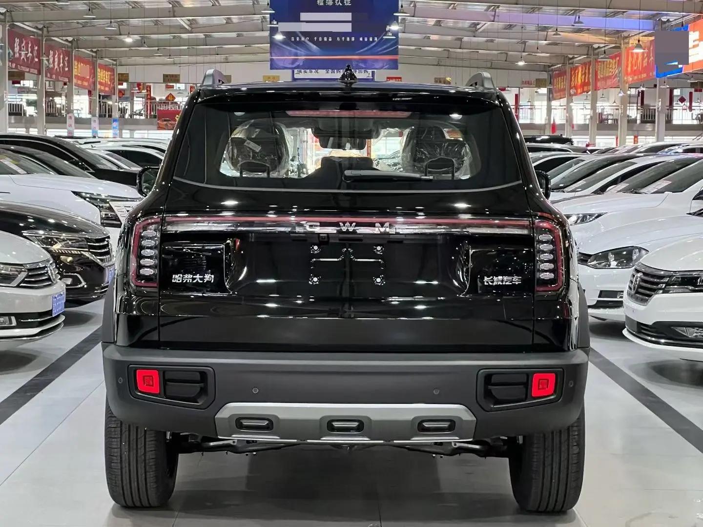 Haval 2026 big dogs 1.5T border animal husbandry version of automatic gear 3