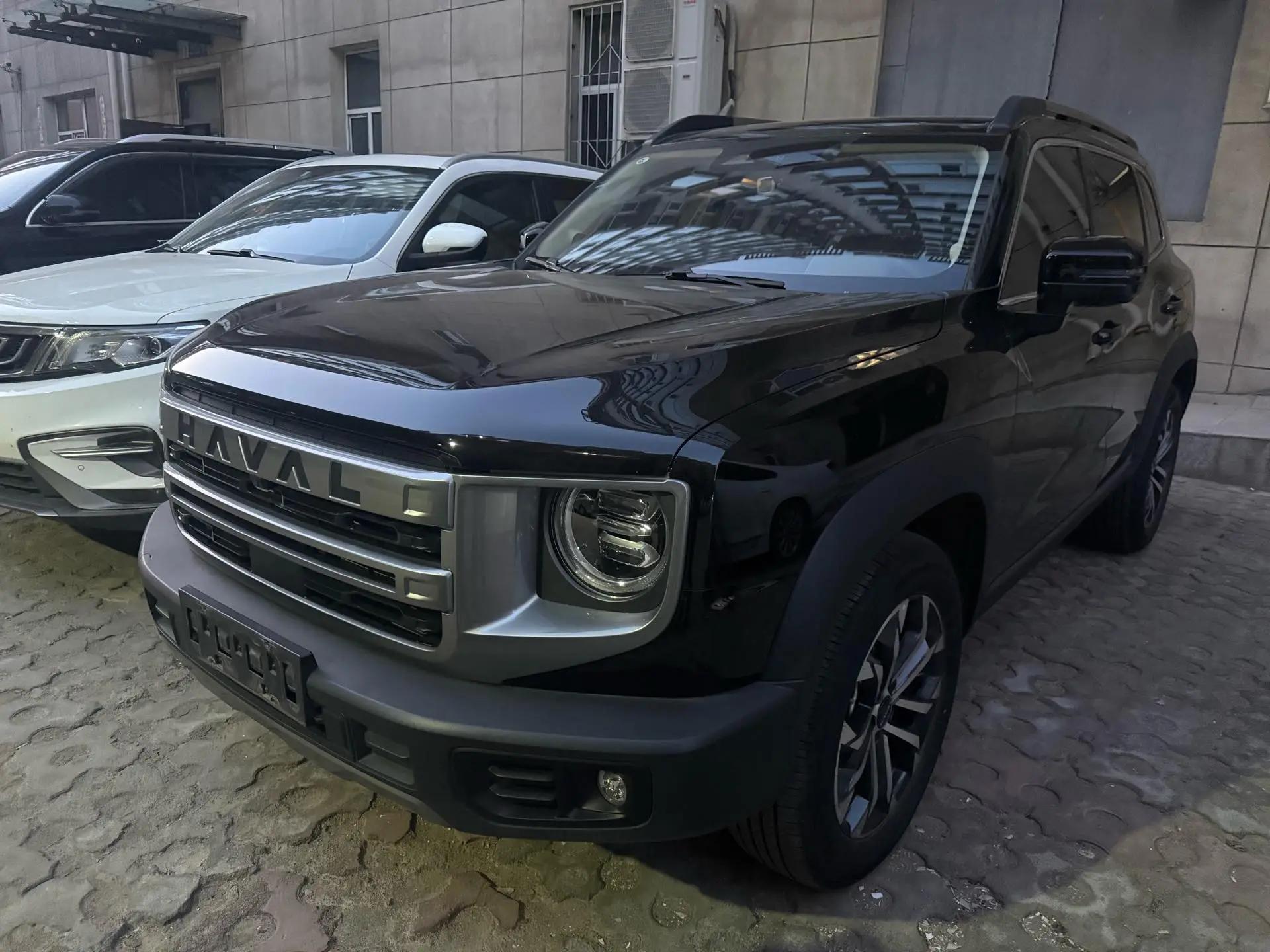 Haval 2024 Dog 1.5T Border Collie Edition Automatic