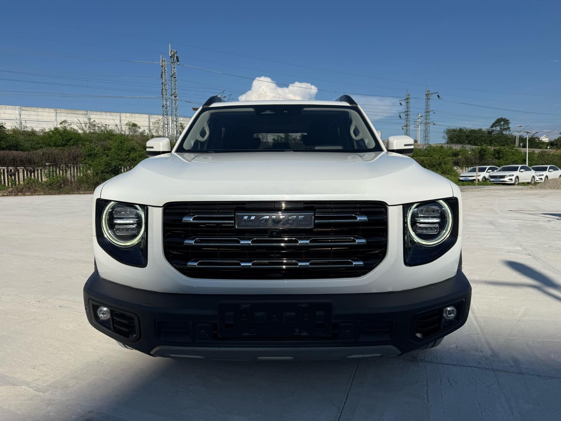 Haval Big Dog 2022 2.0T DCT Four-wheel Drive Chinese Garden Dog Edition 2