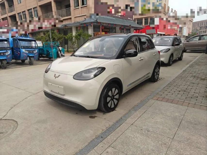 WuLing Plantronics 2024 333km Pleasant
